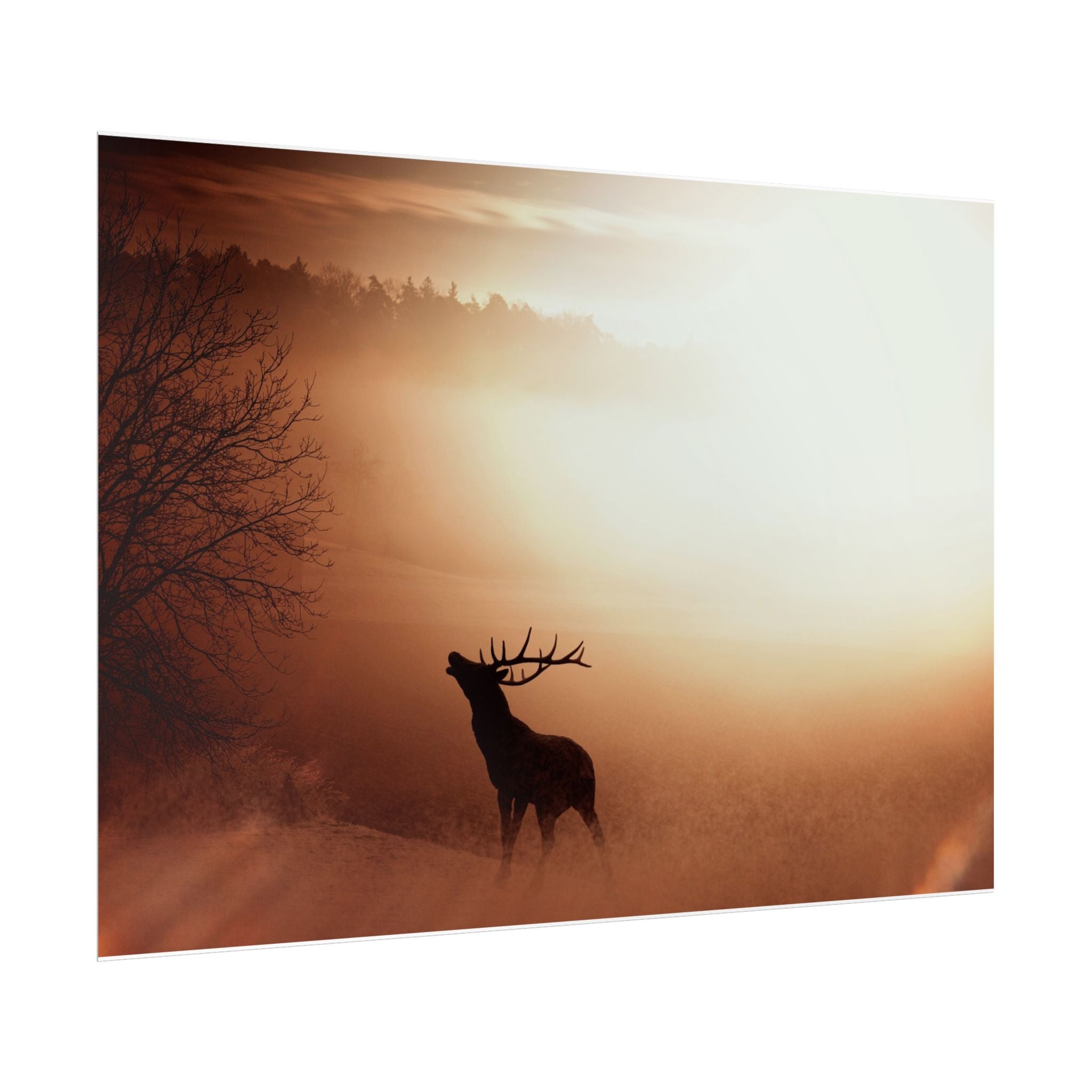 poster-print-elk-in-forest-sunset-scenery-nature-home-decor-animal-wall-art-wildlife-decor-farmhouse-wall-art-elk-prints-post