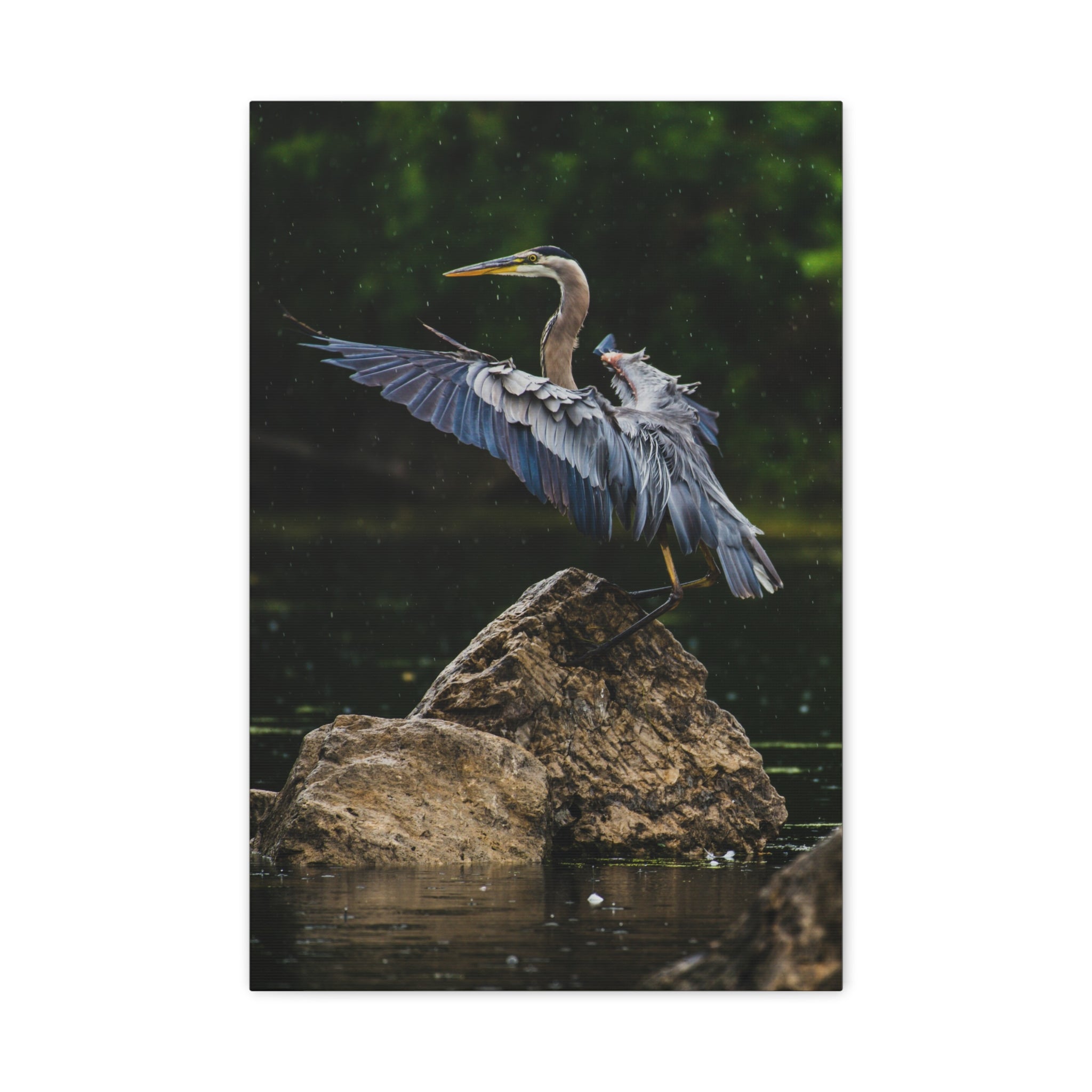canvas-print-wall-art-great-blue-heron-matte-canvas-stretched-home-decor-bird-lover-gift-nature-wall-hanging-wildlife