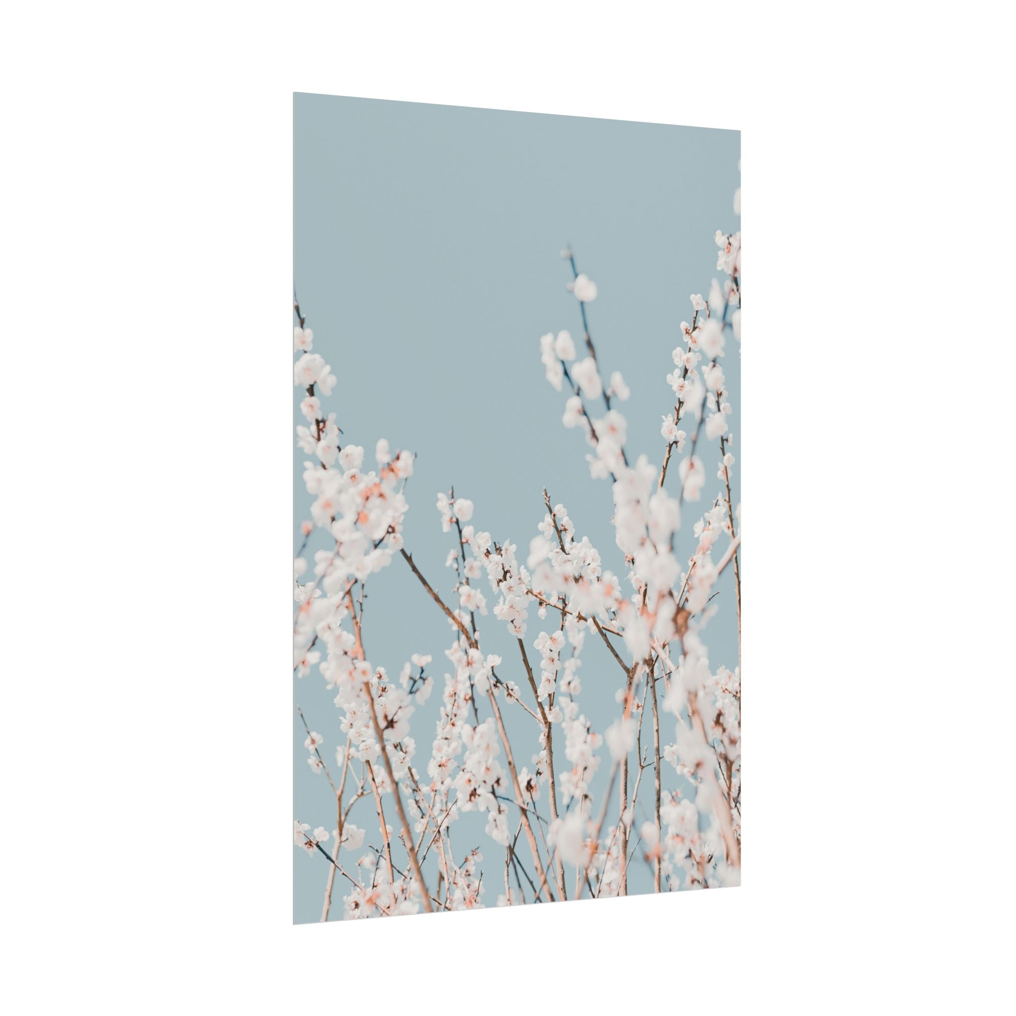 blossom-flowers-poster-print-minimalist-aesthetic-wall-art-fine-art-paper-home-decor-floral-decor-elegant-artwork