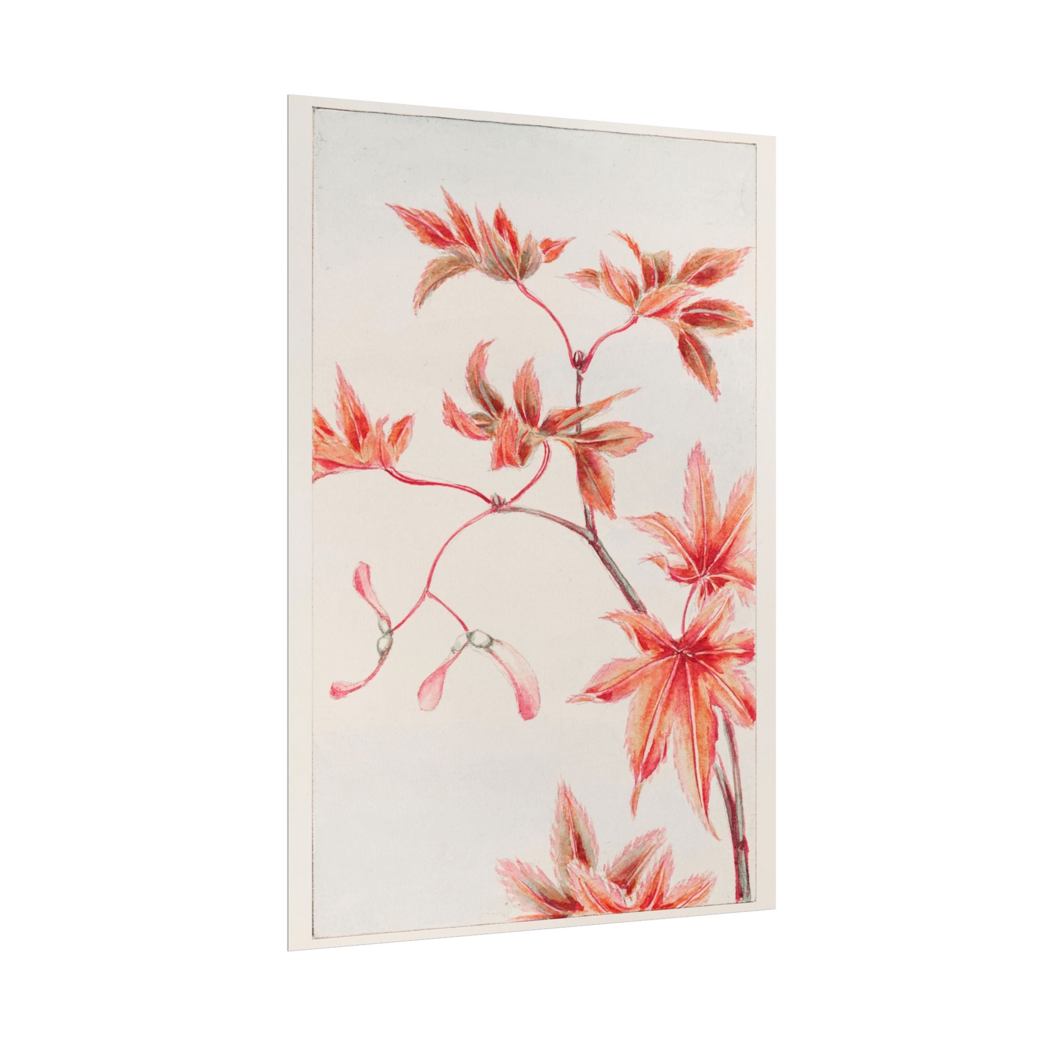 poster-print-branch-of-momiji-maple-tree-with-leaves-floral-wall-art-rolled-posters-wall-decor-room-decoration-nature-art-bot