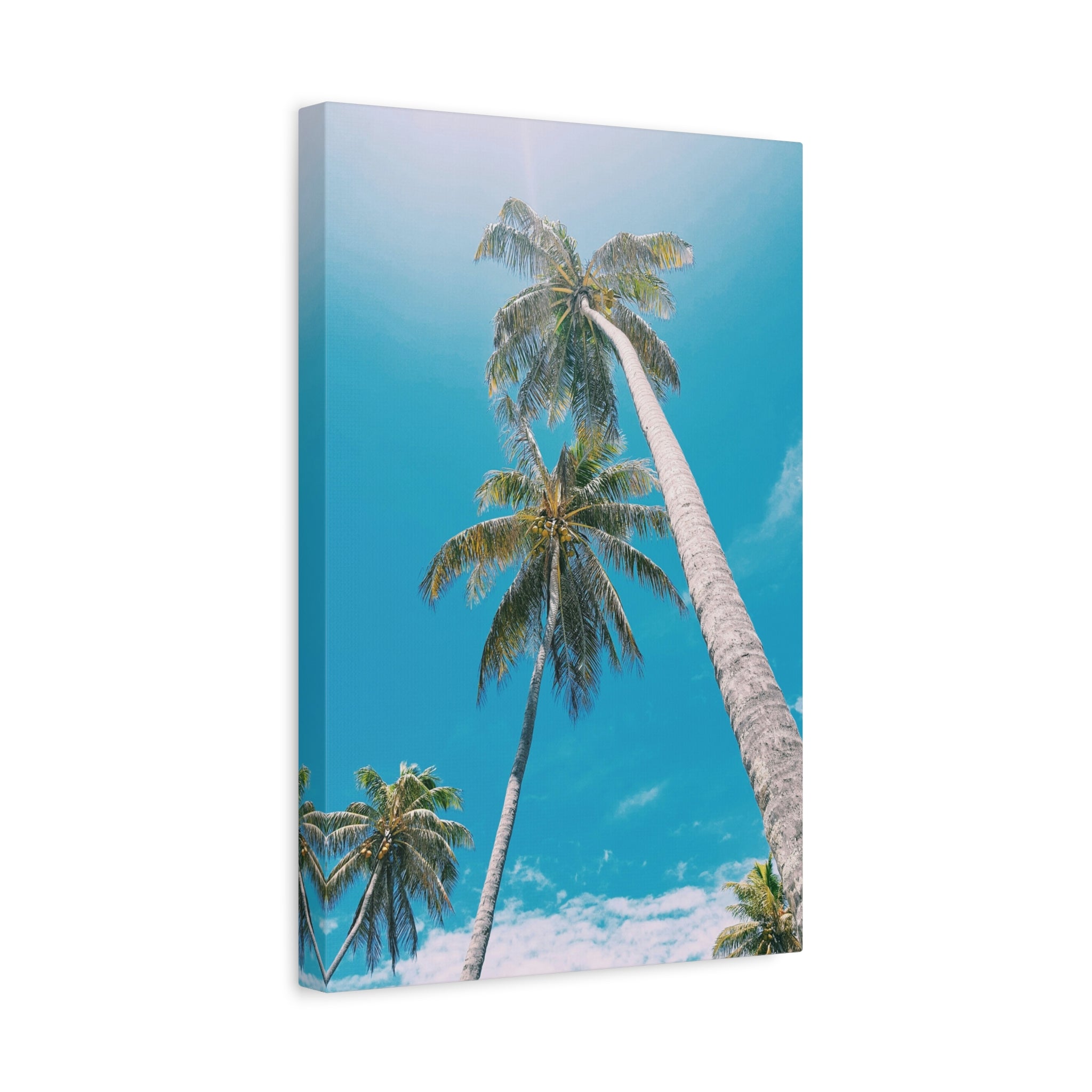 palm-tree-canvas-print-palm-tree-decor-wall-art-print-home-decor-palm-tree-fine-art-palm-tree-art-gallery-stretched-canvas-pr