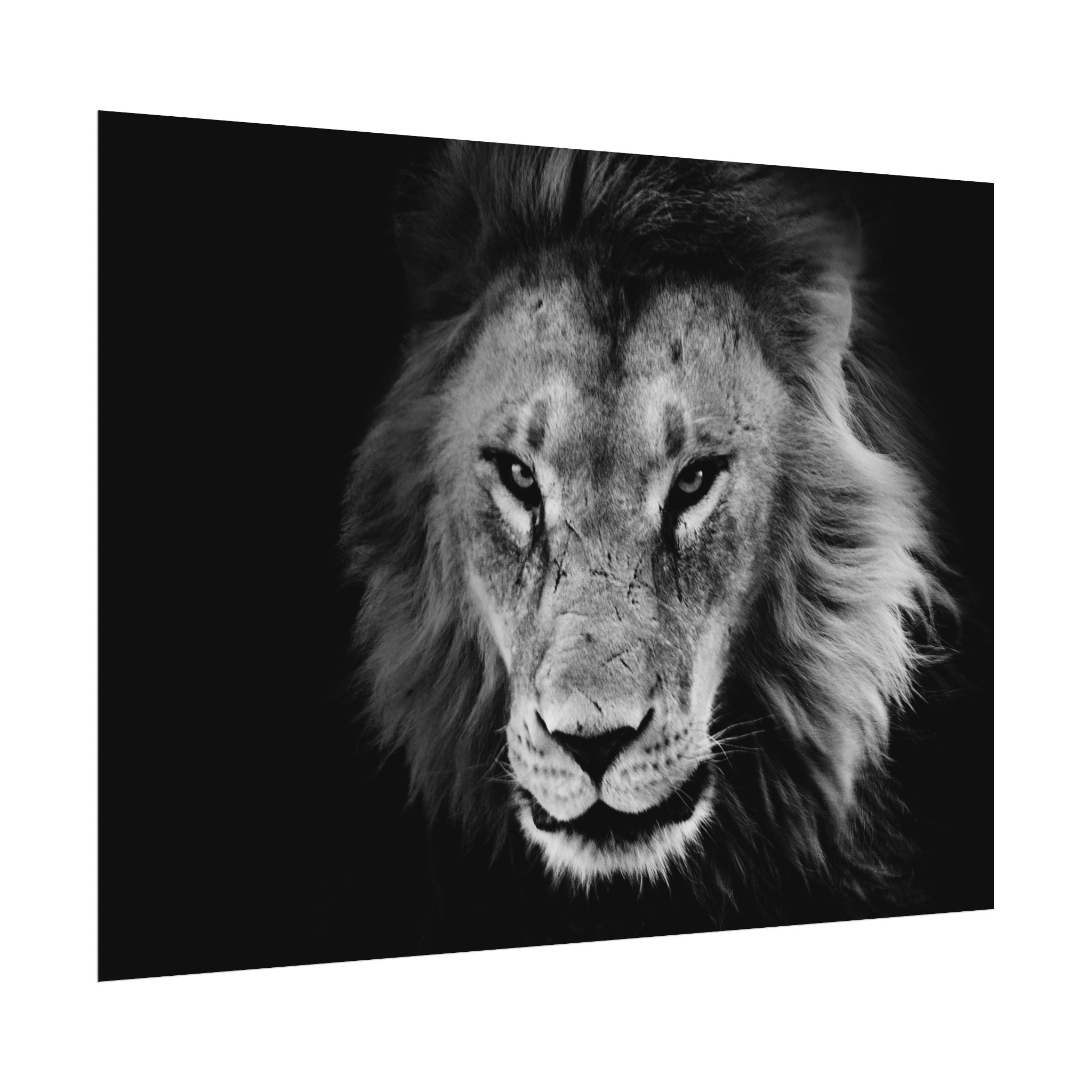 poster-print-lion-wall-art-black-and-white-living-room-decor-monochrome-art-lion-poster-jungle-animal-art-print-wildlife-safa