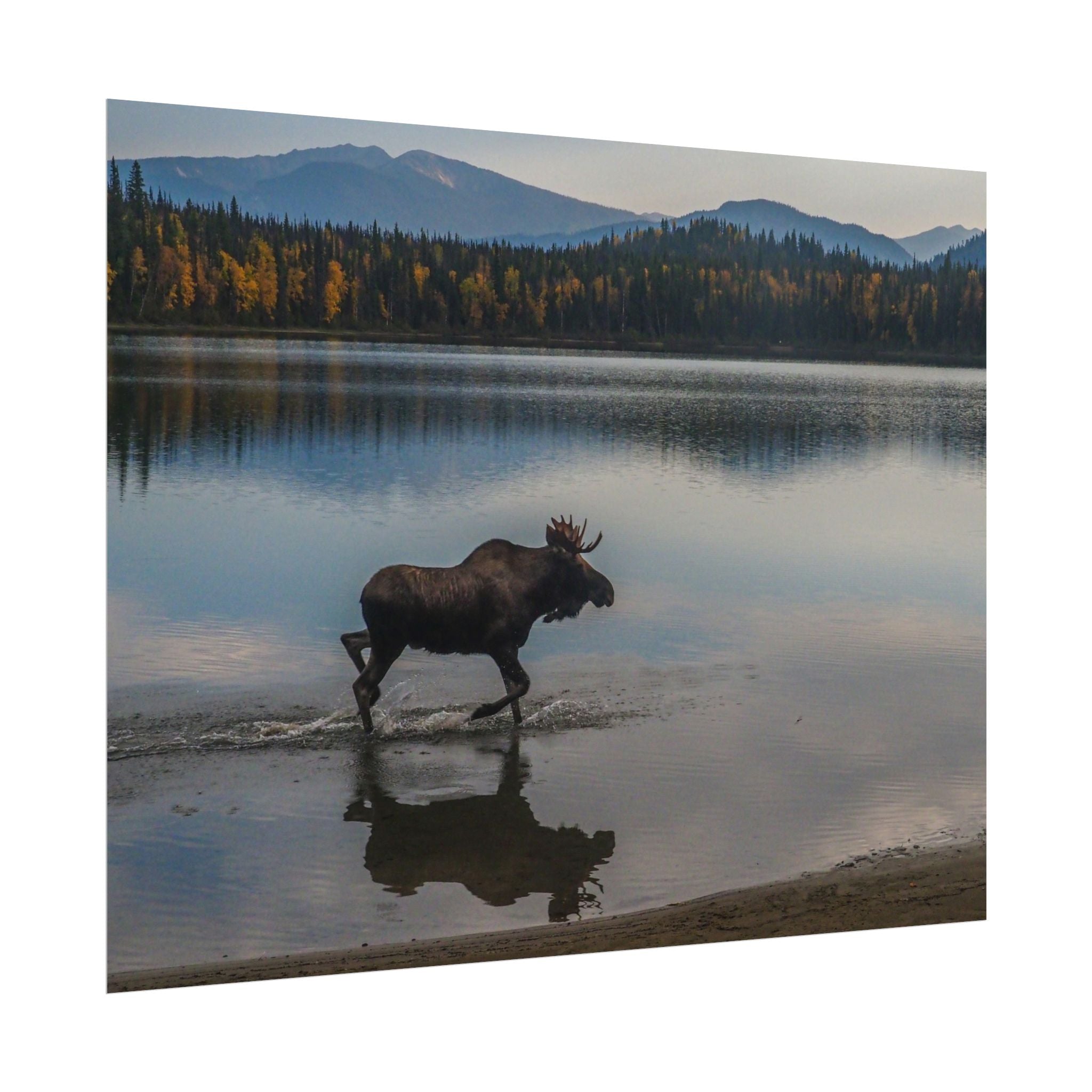 rustic-moose-poster-wall-decor-cabin-lodge-wildlife-painting-nature-home-decor-wilderness-animal-poster-farmhouse-wall-art