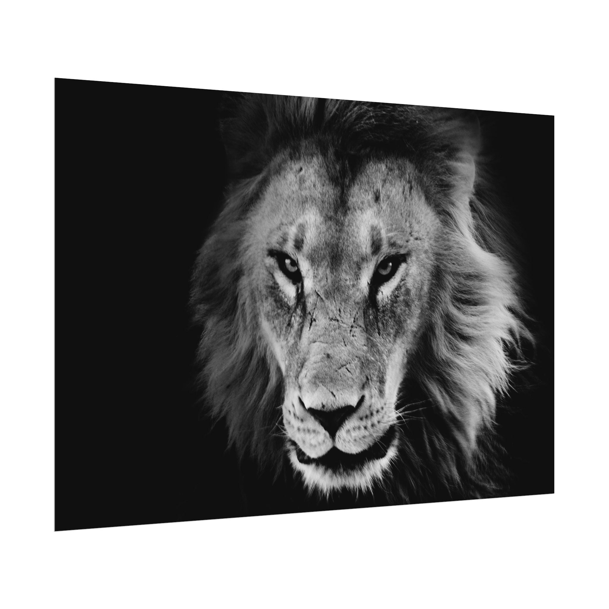 poster-print-lion-wall-art-black-and-white-living-room-decor-monochrome-art-lion-poster-jungle-animal-art-print-wildlife-safa