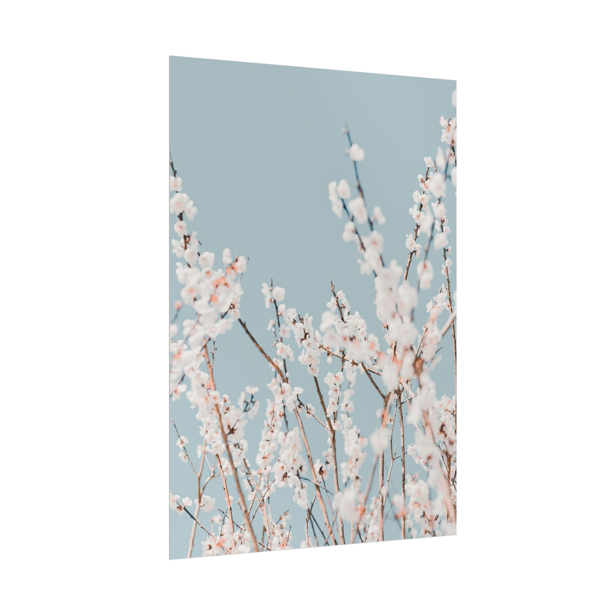blossom-flowers-poster-print-minimalist-aesthetic-wall-art-fine-art-paper-home-decor-floral-decor-elegant-artwork