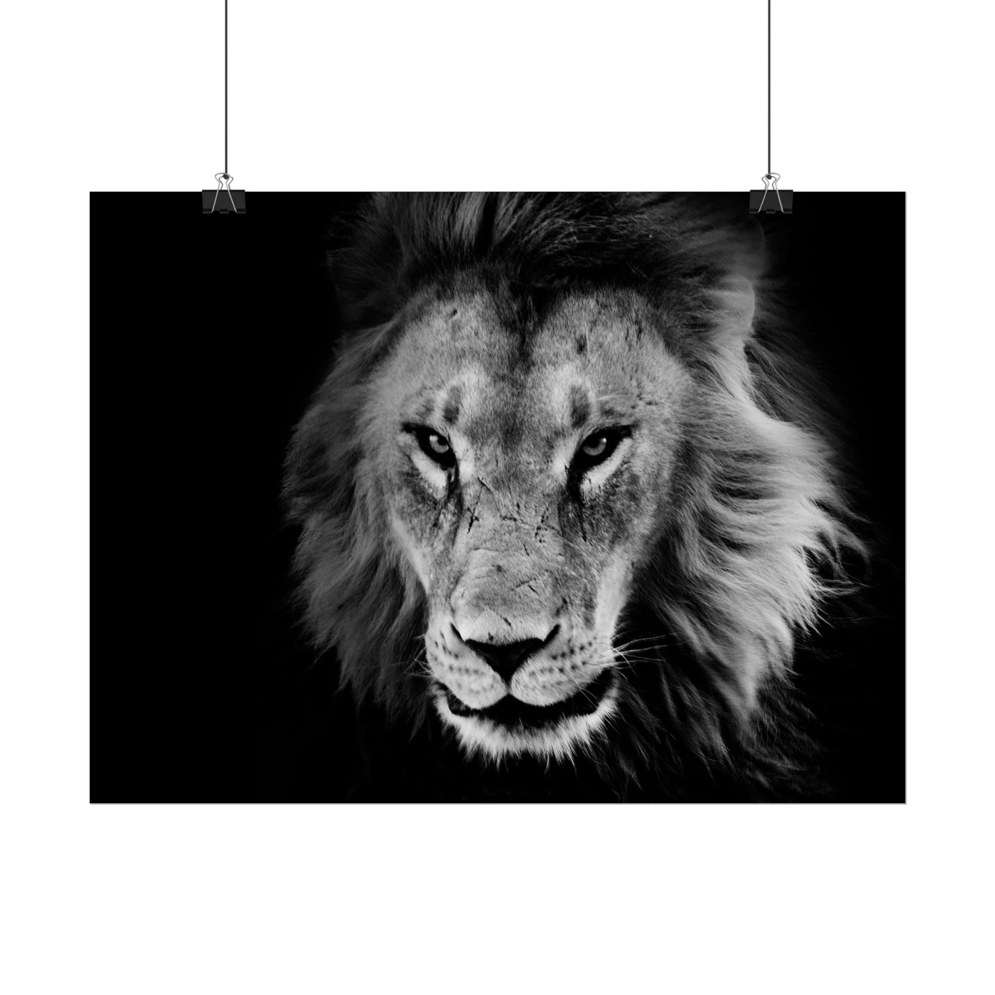 poster-print-lion-wall-art-black-and-white-living-room-decor-monochrome-art-lion-poster-jungle-animal-art-print-wildlife-safa