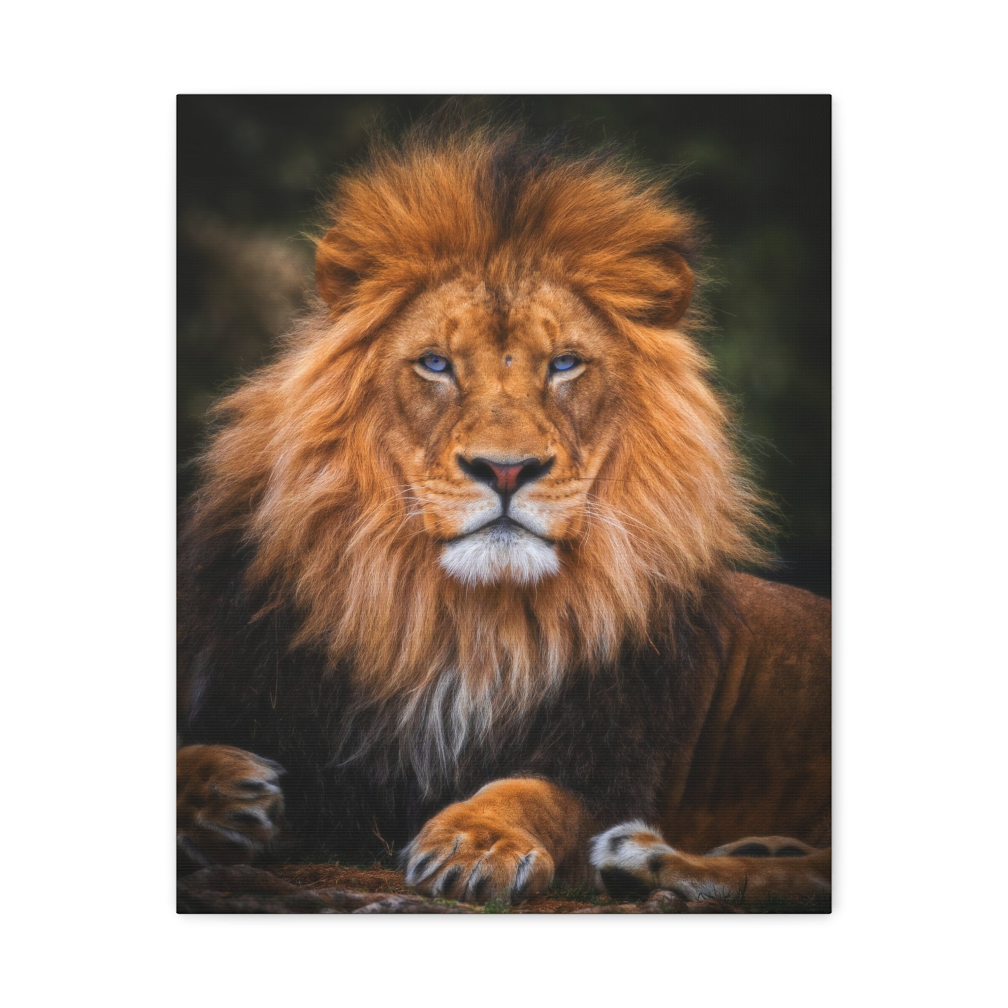 canvas-print-blue-eyed-lion-wall-art-wildlife-home-decor-animal-lover-gift-safari-nursery-decoration-wildlife-art-print-lion-