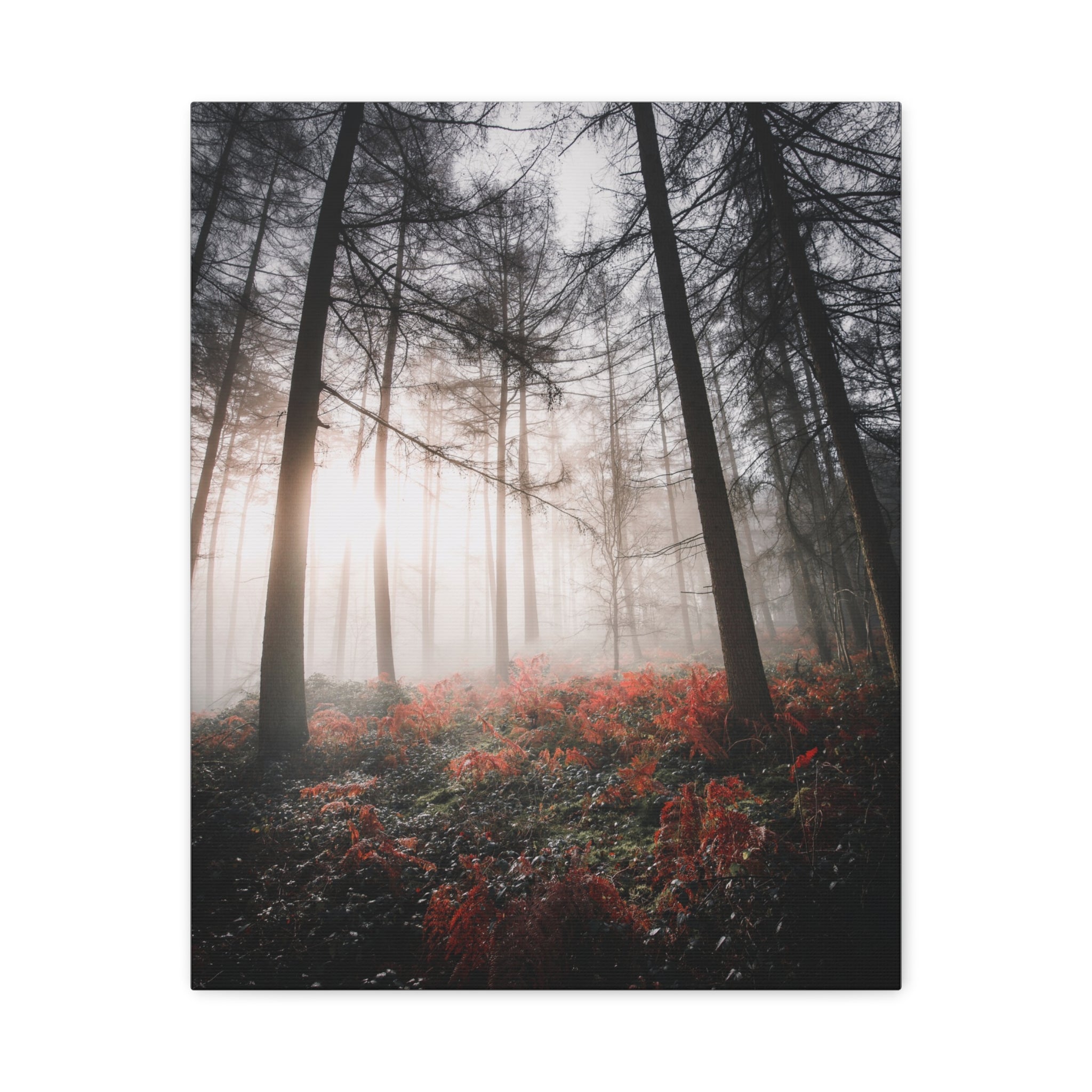 canvas-print-misty-woods-art-living-room-wall-decor-sunlight-forest-landscape-aesthetic-nature-art-stretched-artwork-matte-ca