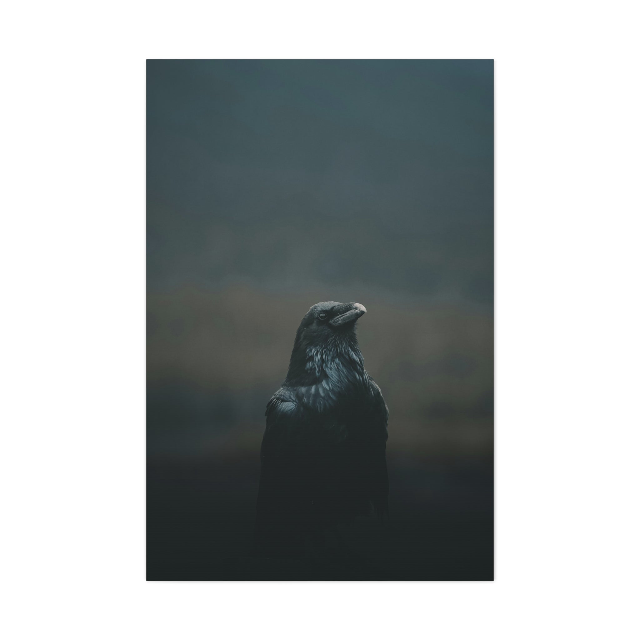 raven-canvas-print-raven-decor-matte-stretched-wall-art-bird-lover-gift-gothic-home-decor-halloween-picture-raven-art-print