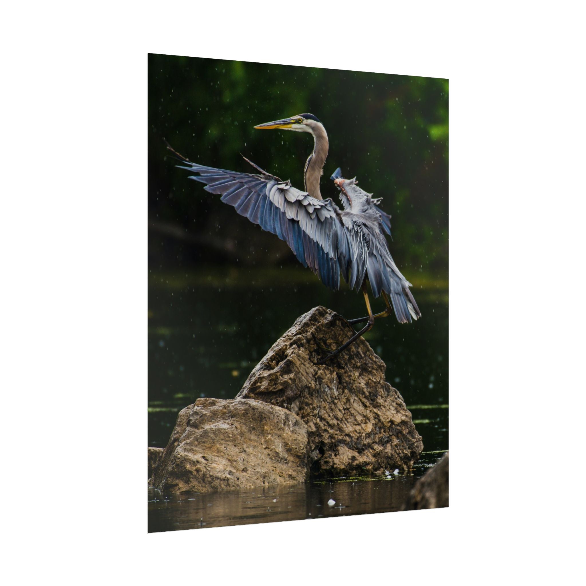 great-blue-heron-poster-wall-art-home-decor-bird-lover-gift-nature-wall-hanging-wildlife-poster