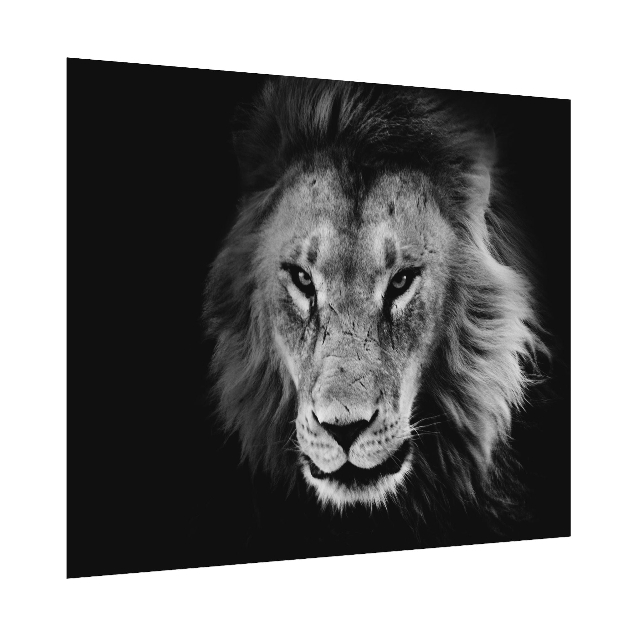poster-print-lion-wall-art-black-and-white-living-room-decor-monochrome-art-lion-poster-jungle-animal-art-print-wildlife-safa