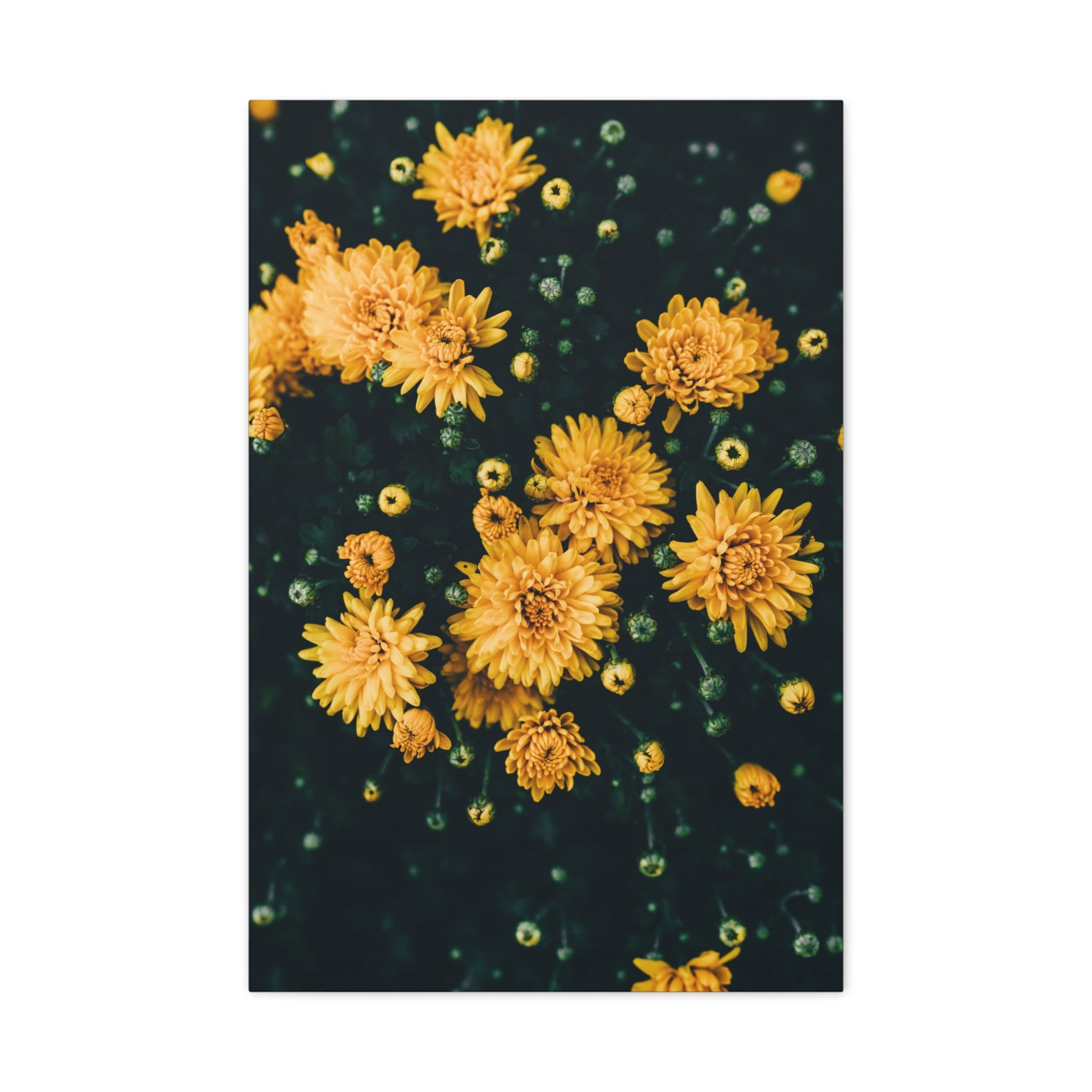 canvas-print-yellow-flower-art-matte-canvas-stretched-wall-decor-floral-home-decor-gift-bright-botanical-art-print-gallery-wr