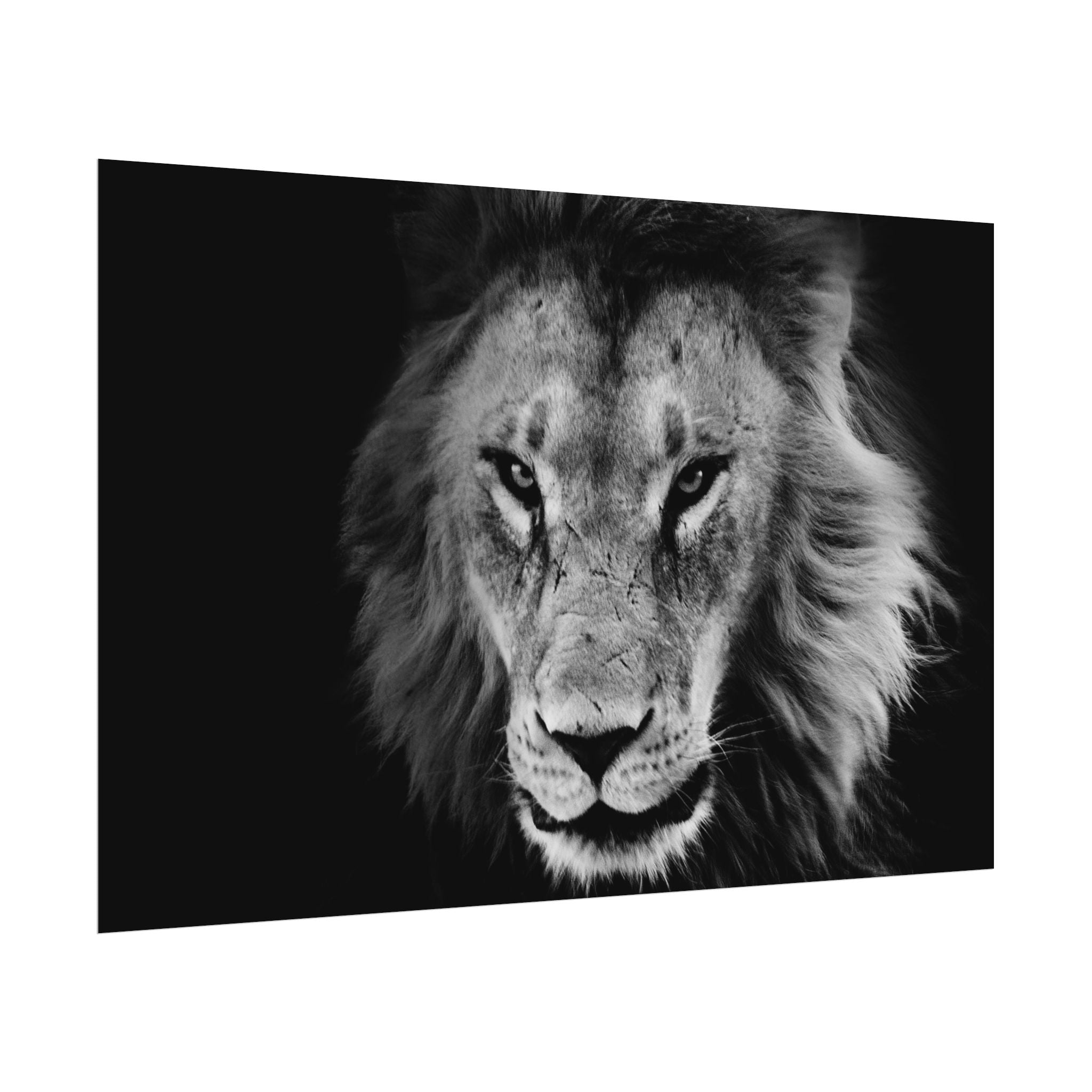 poster-print-lion-wall-art-black-and-white-living-room-decor-monochrome-art-lion-poster-jungle-animal-art-print-wildlife-safa