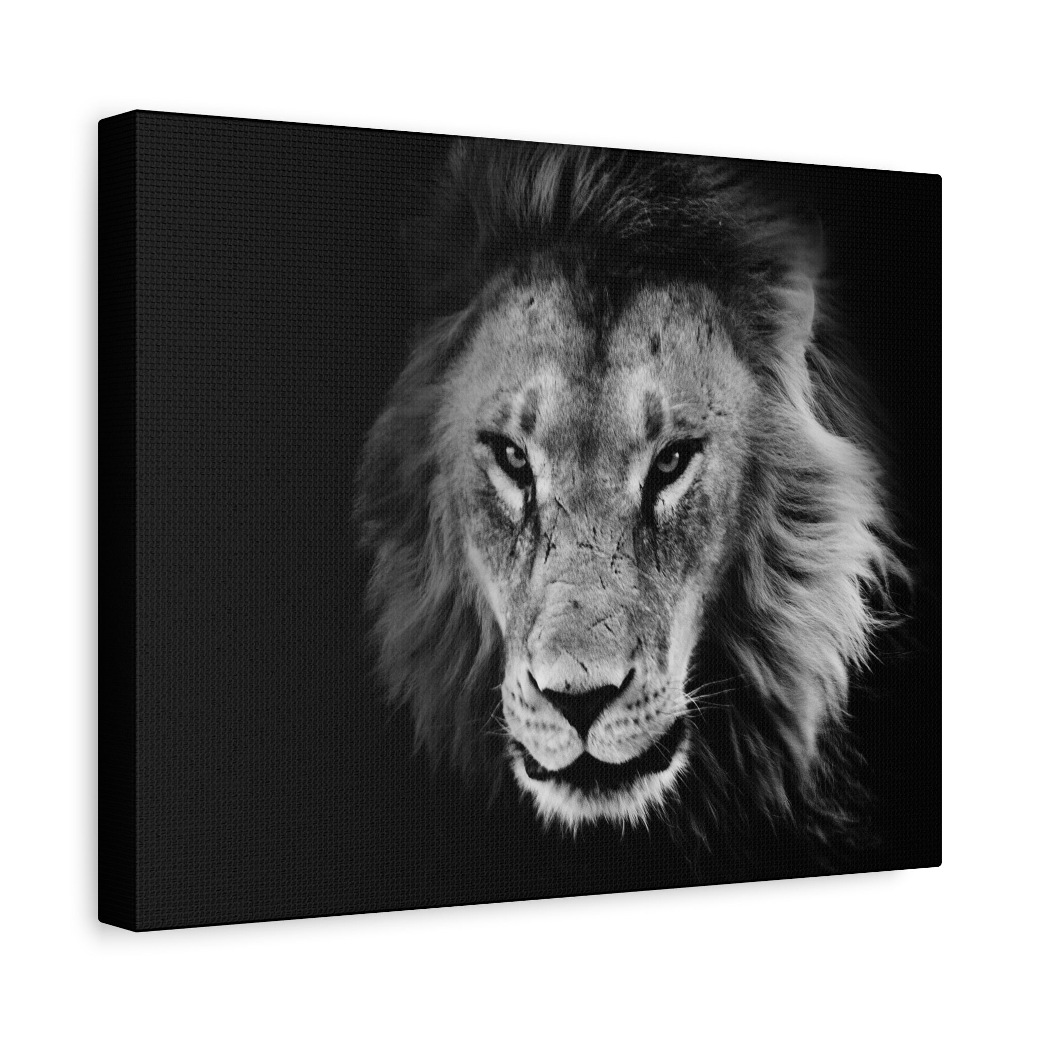 Lion Canvas Wall Art, Black and White Living Room Decor, Matte Stretched, Lion Poster, Jungle Animal Art Print, Wildlife Safari