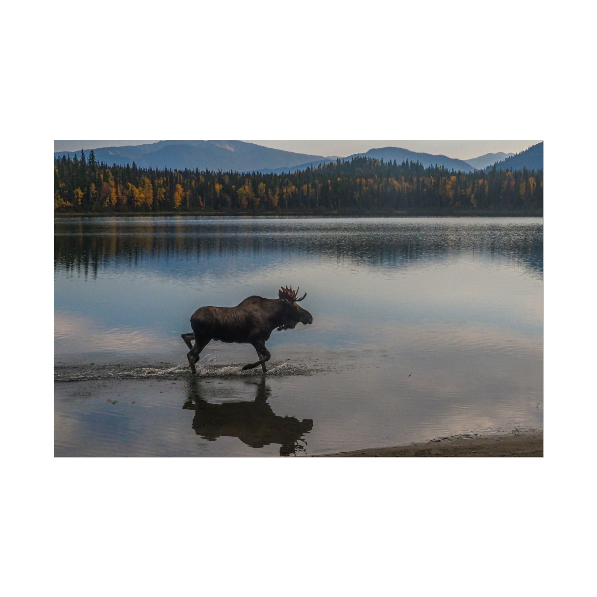 rustic-moose-poster-wall-decor-cabin-lodge-wildlife-painting-nature-home-decor-wilderness-animal-poster-farmhouse-wall-art