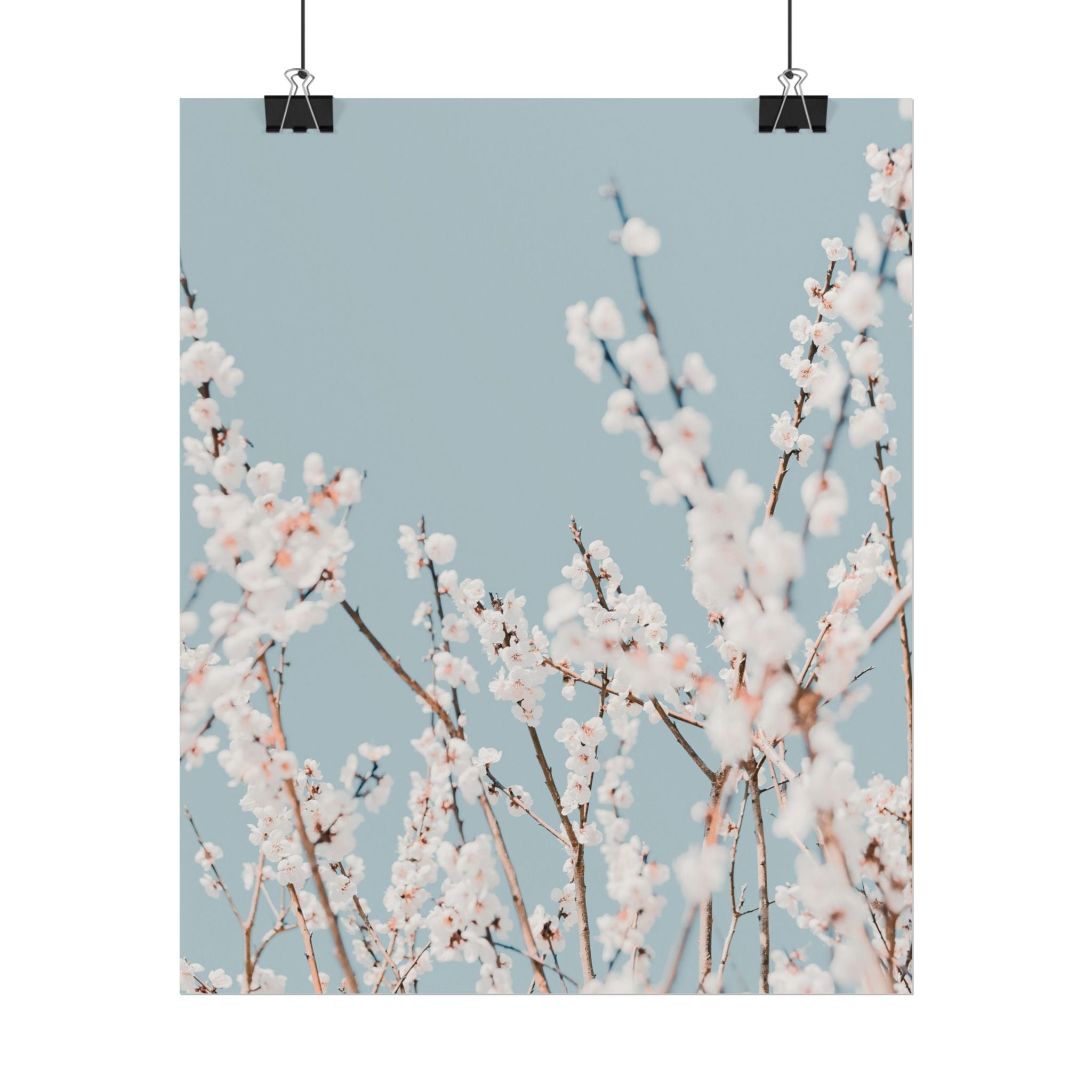 blossom-flowers-poster-print-minimalist-aesthetic-wall-art-fine-art-paper-home-decor-floral-decor-elegant-artwork