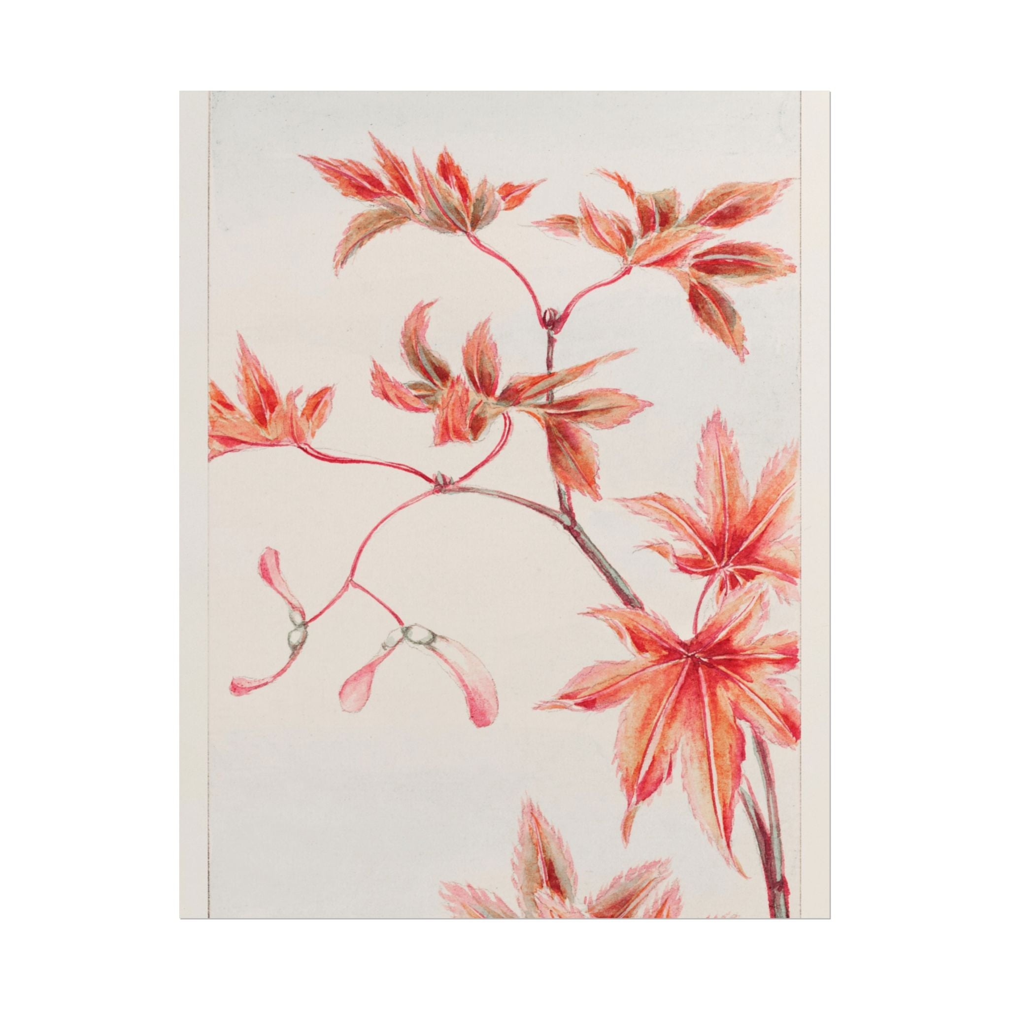 poster-print-branch-of-momiji-maple-tree-with-leaves-floral-wall-art-rolled-posters-wall-decor-room-decoration-nature-art-bot