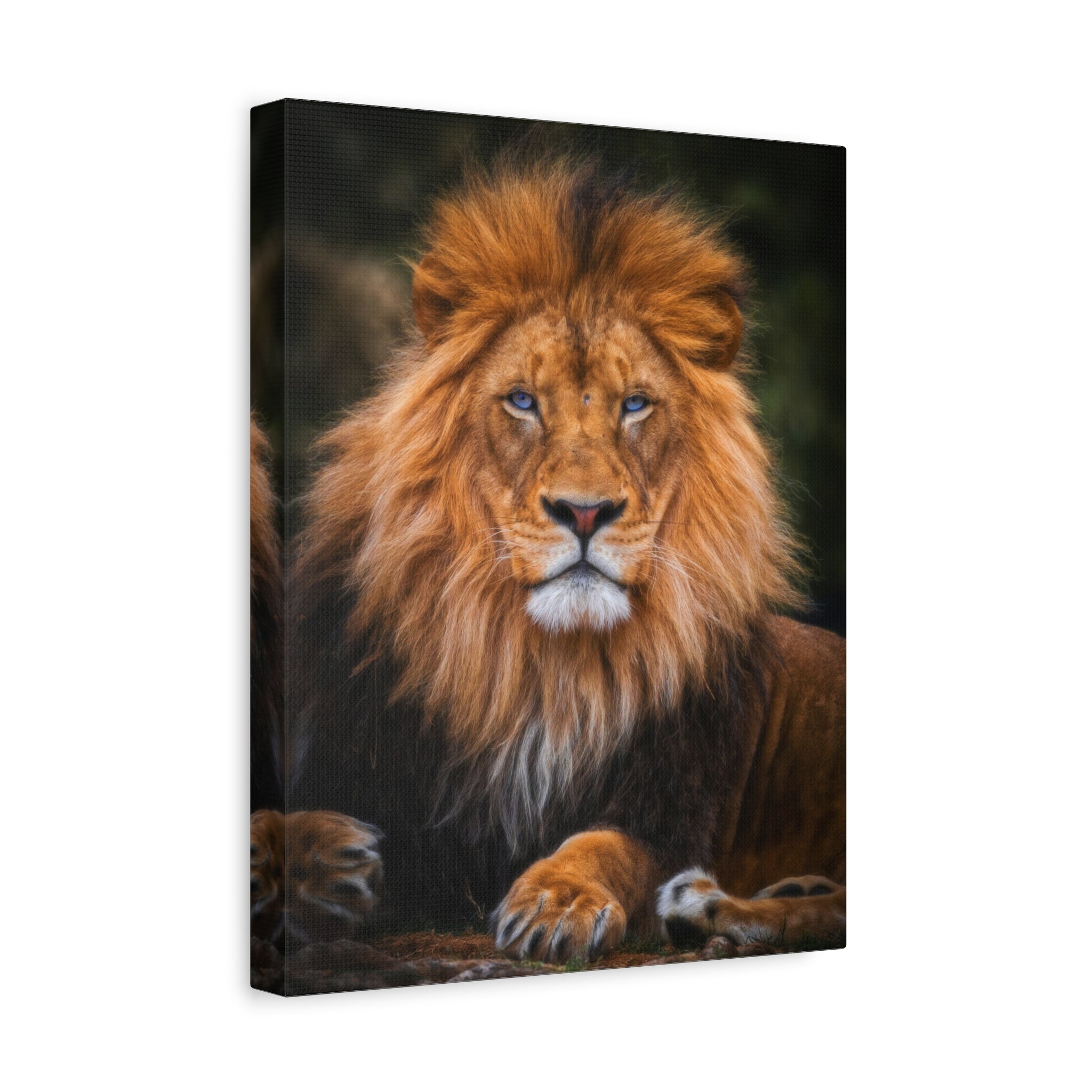 canvas-print-blue-eyed-lion-wall-art-wildlife-home-decor-animal-lover-gift-safari-nursery-decoration-wildlife-art-print-lion-