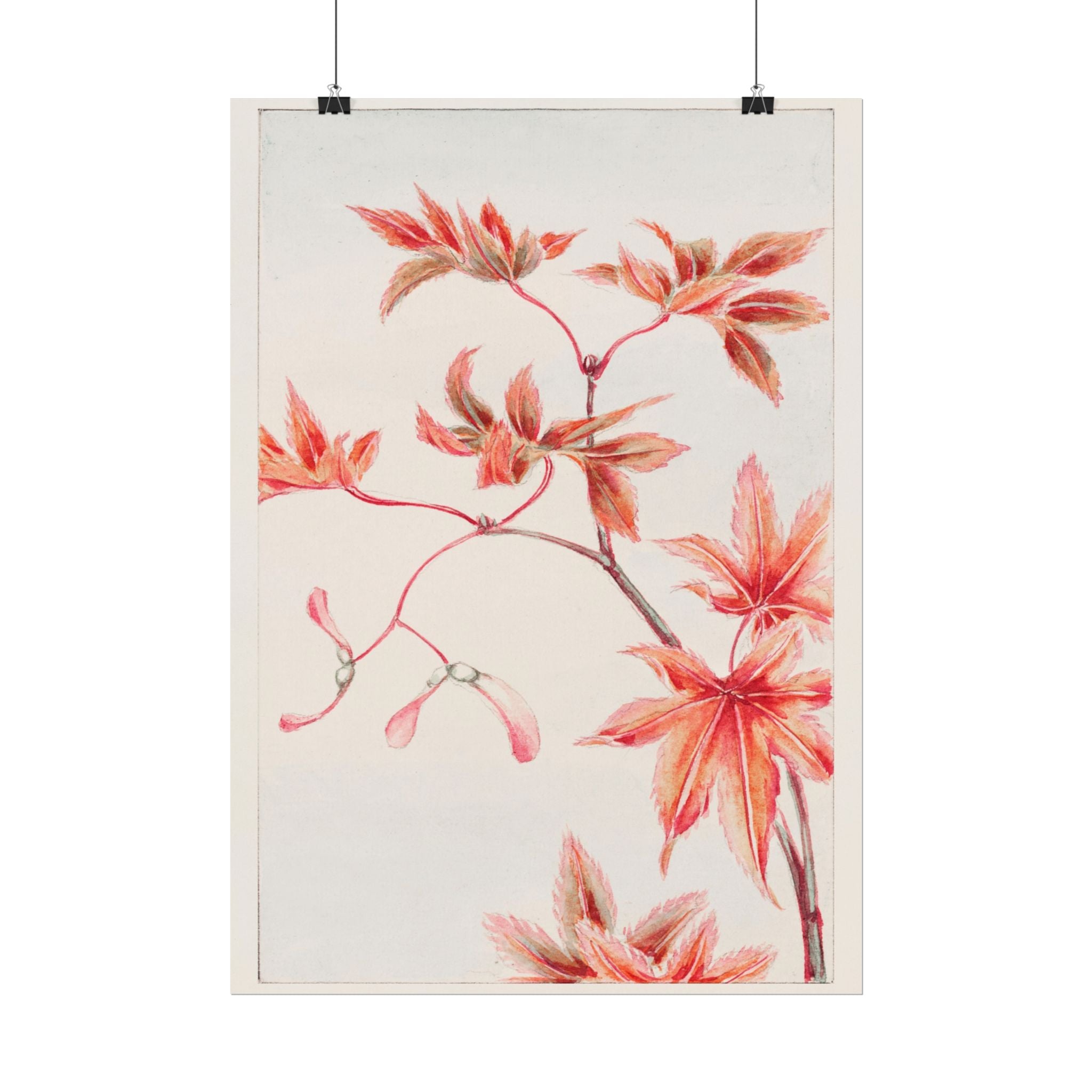 poster-print-branch-of-momiji-maple-tree-with-leaves-floral-wall-art-rolled-posters-wall-decor-room-decoration-nature-art-bot