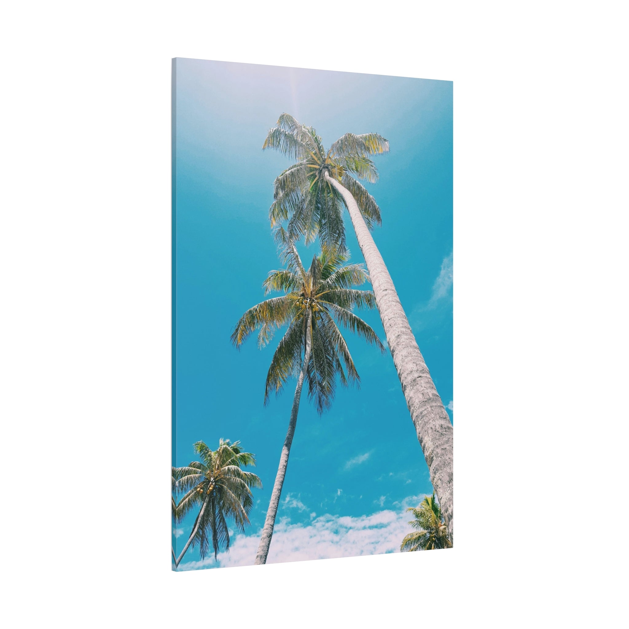 palm-tree-canvas-print-palm-tree-decor-wall-art-print-home-decor-palm-tree-fine-art-palm-tree-art-gallery-stretched-canvas-pr