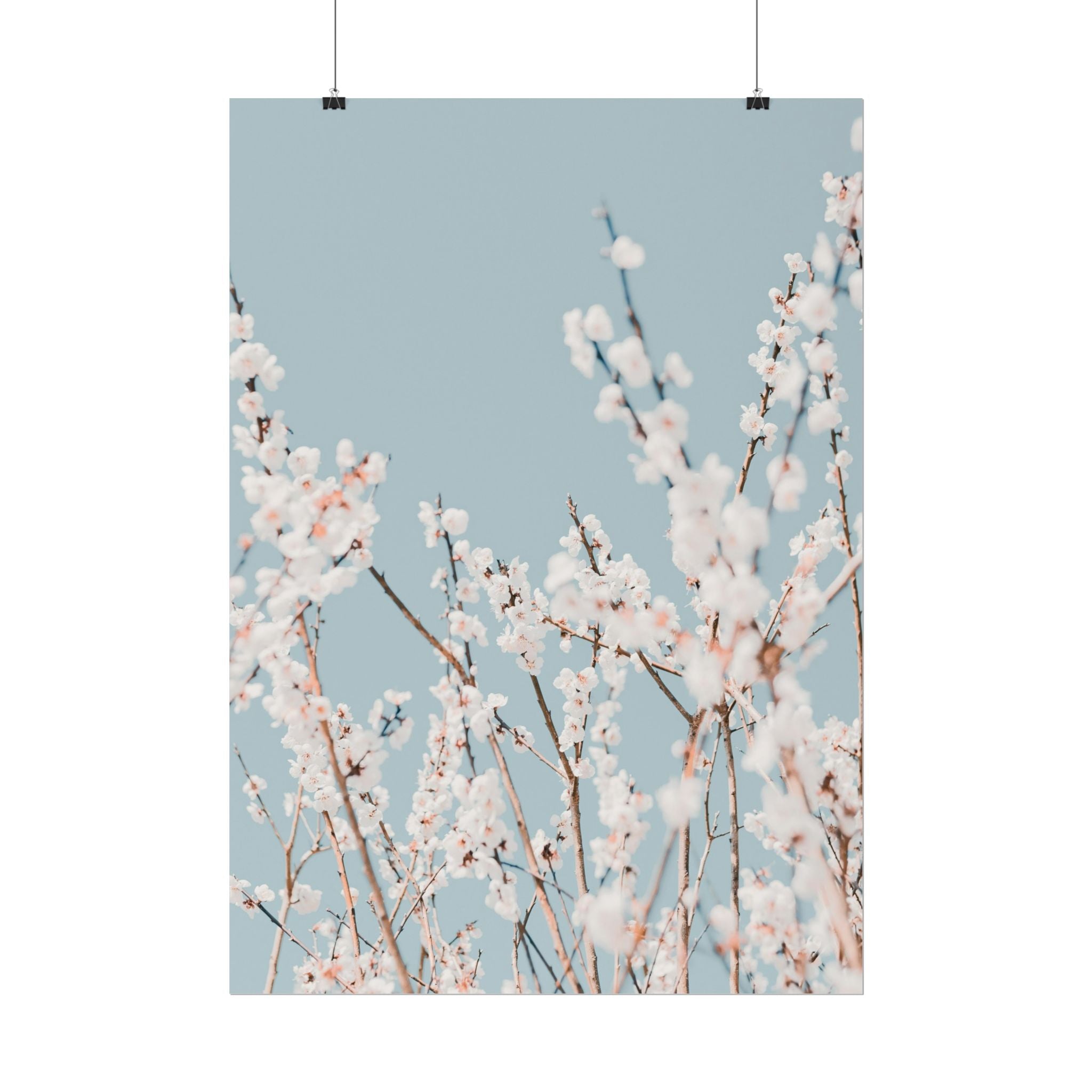 blossom-flowers-poster-print-minimalist-aesthetic-wall-art-fine-art-paper-home-decor-floral-decor-elegant-artwork