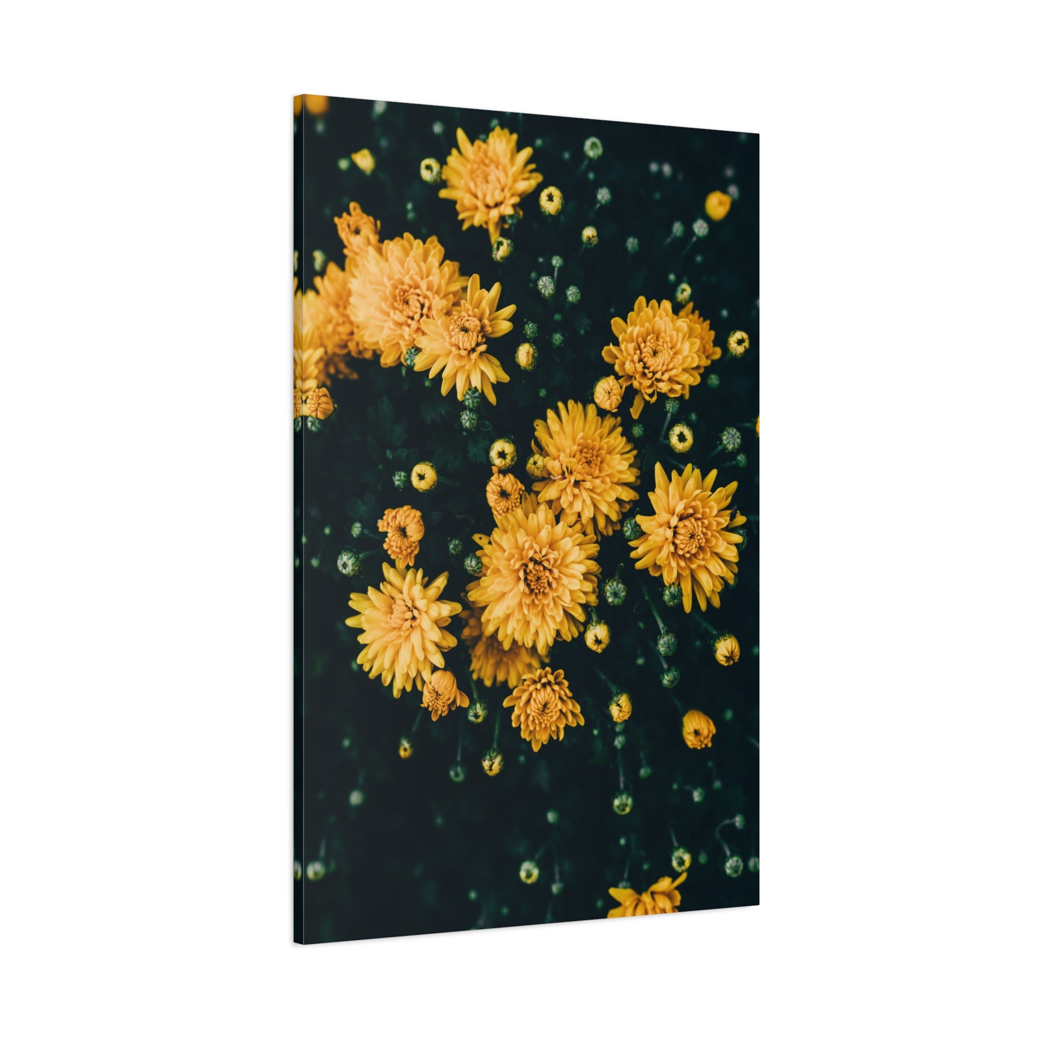 canvas-print-yellow-flower-art-matte-canvas-stretched-wall-decor-floral-home-decor-gift-bright-botanical-art-print-gallery-wr