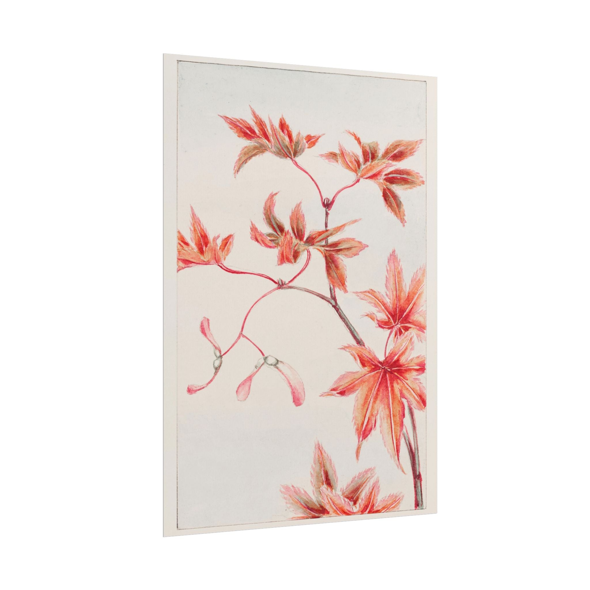 poster-print-branch-of-momiji-maple-tree-with-leaves-floral-wall-art-rolled-posters-wall-decor-room-decoration-nature-art-bot
