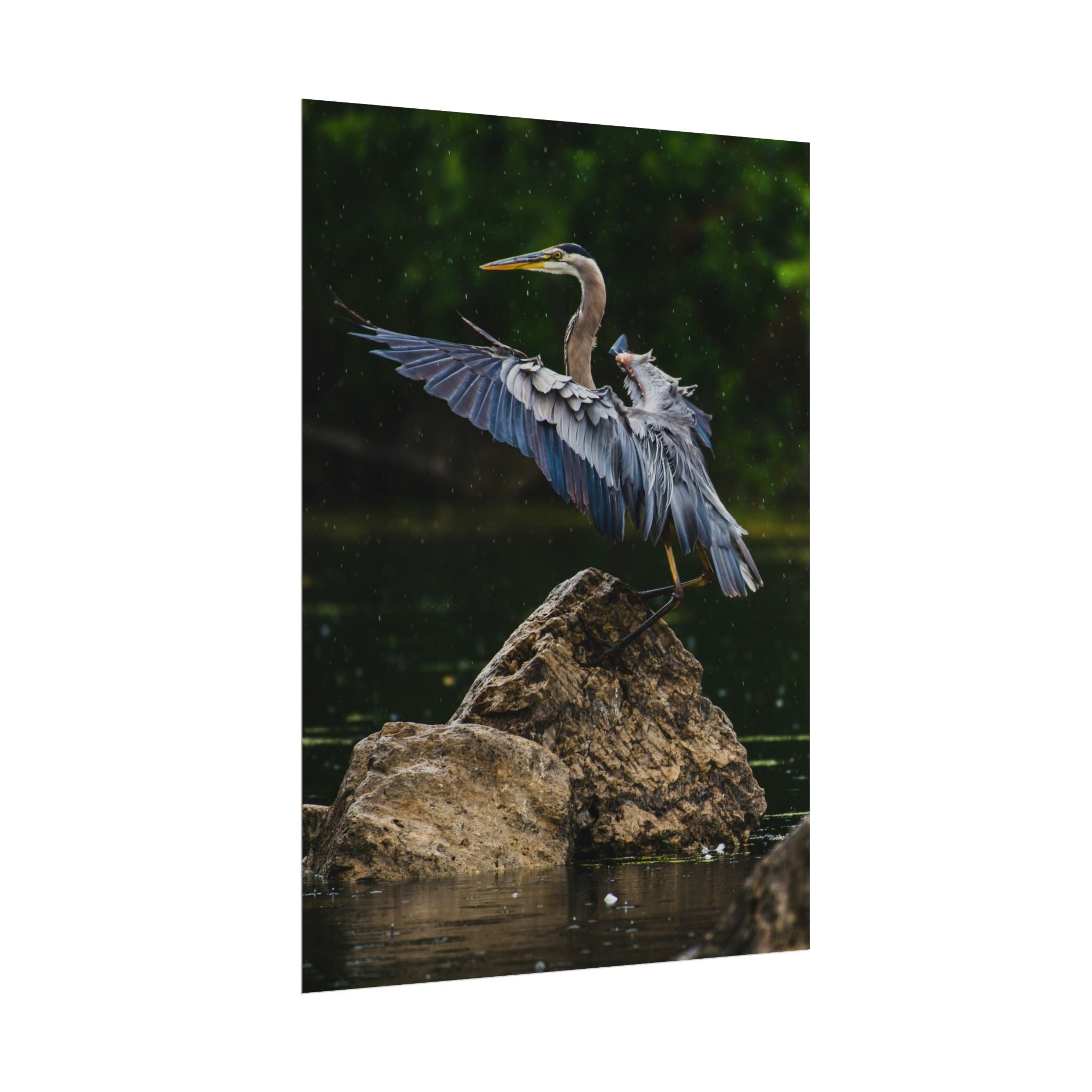 great-blue-heron-poster-wall-art-home-decor-bird-lover-gift-nature-wall-hanging-wildlife-poster