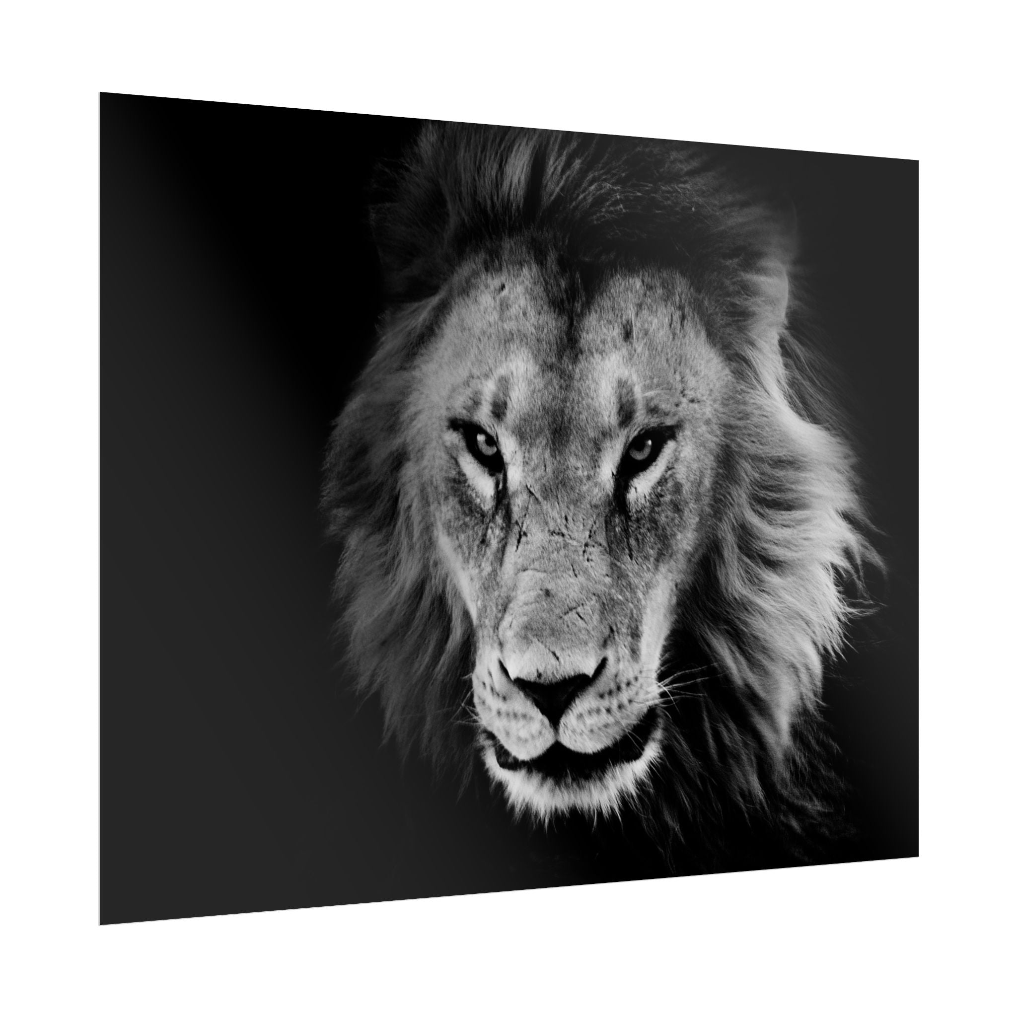 poster-print-lion-wall-art-black-and-white-living-room-decor-monochrome-art-lion-poster-jungle-animal-art-print-wildlife-safa
