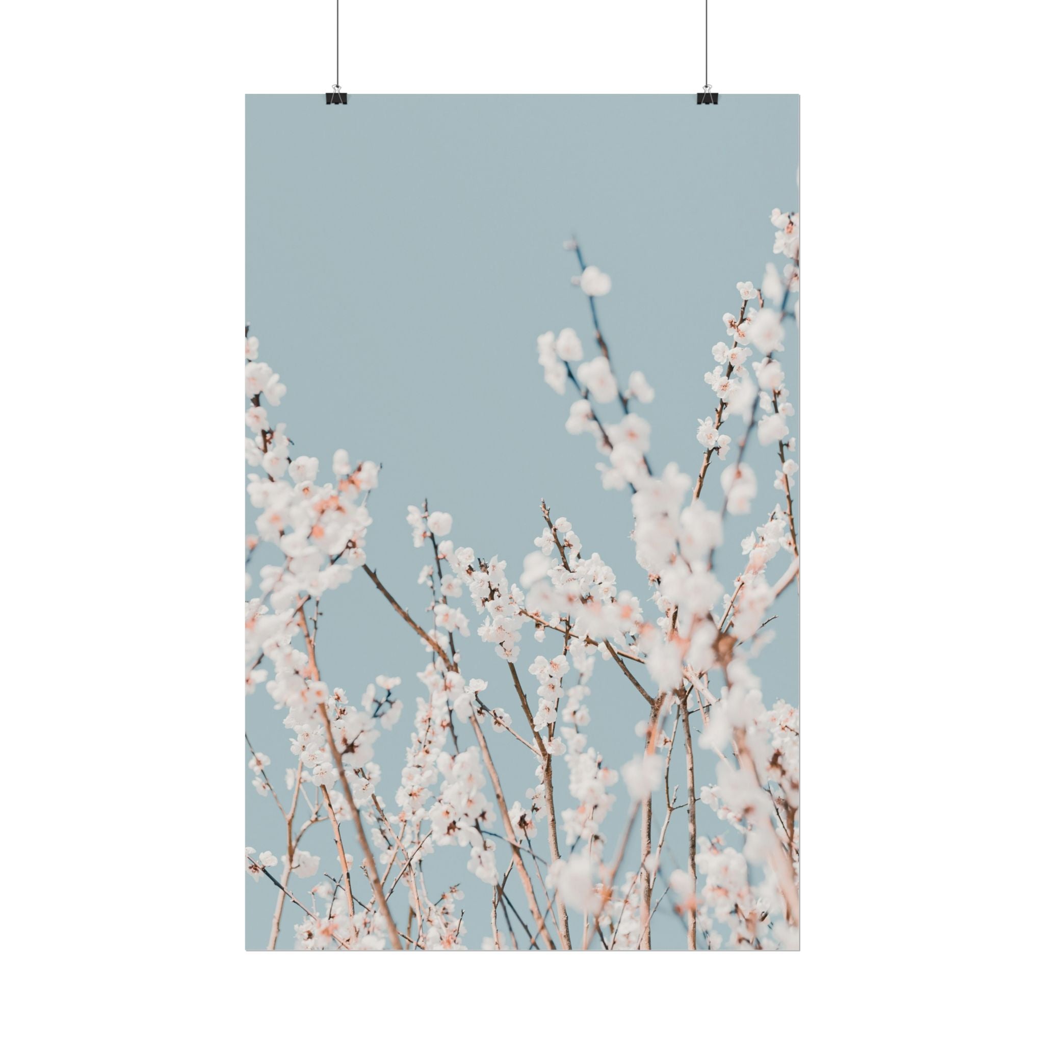blossom-flowers-poster-print-minimalist-aesthetic-wall-art-fine-art-paper-home-decor-floral-decor-elegant-artwork