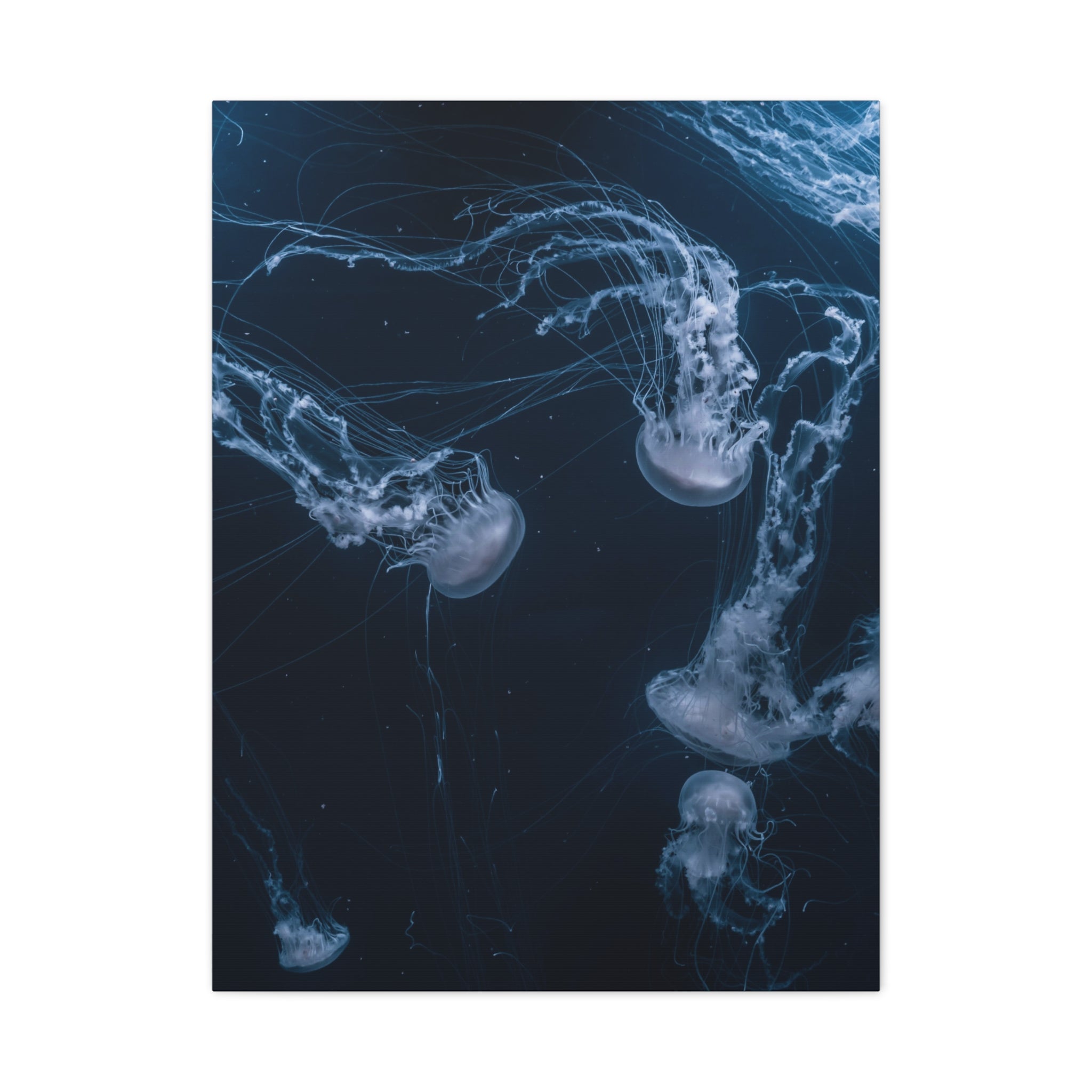 canvas-print-jellyfish-wall-art-wall-hanging-matte-canvas-ocean-life-deep-ocean-decor-home-decor-housewarming-gift