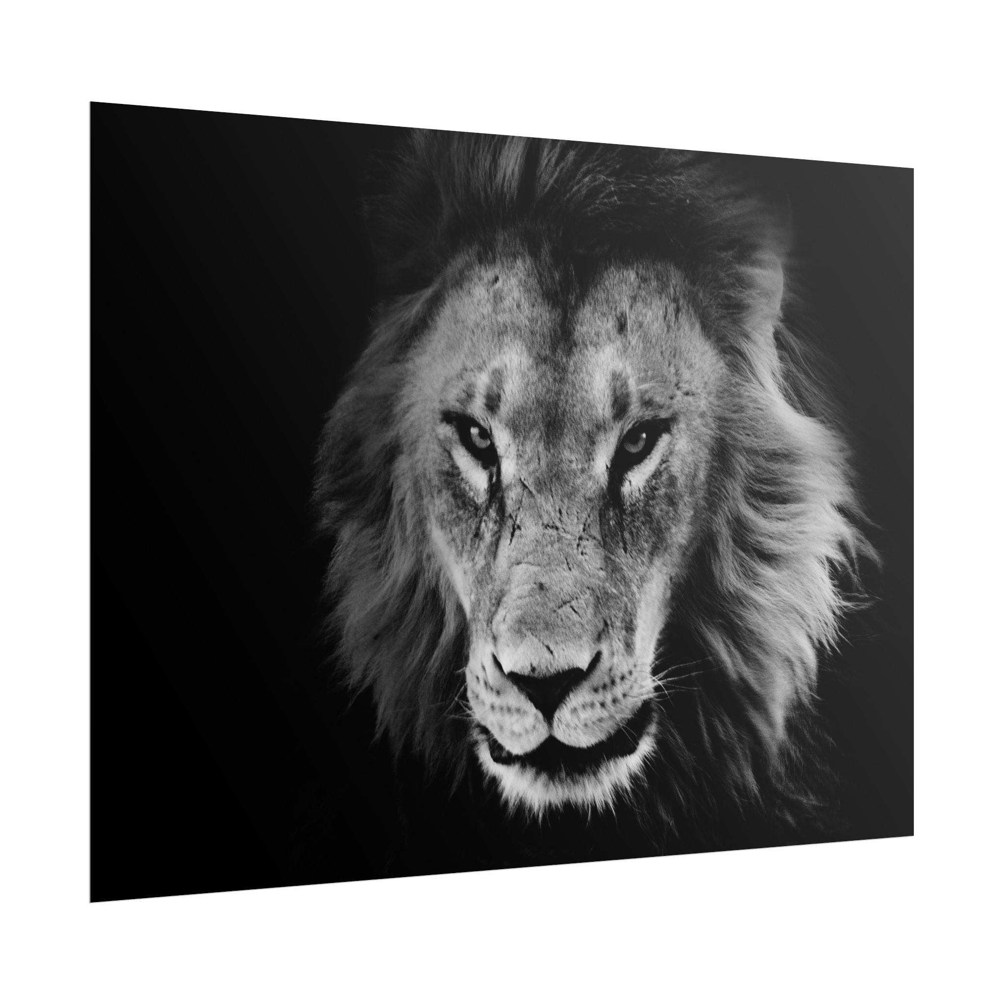 poster-print-lion-wall-art-black-and-white-living-room-decor-monochrome-art-lion-poster-jungle-animal-art-print-wildlife-safa
