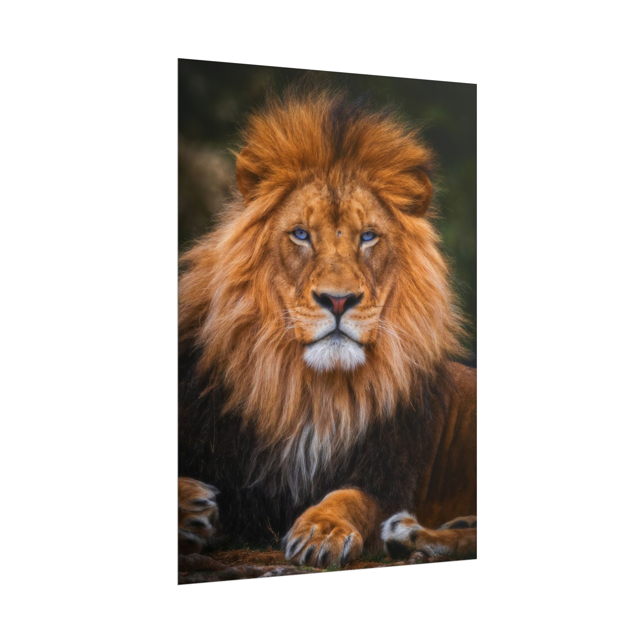 blue-eyed-lion-poster-wall-art-wildlife-home-decor-animal-lover-gift-safari-decoration-wildlife-art-print-lion-wall-decor