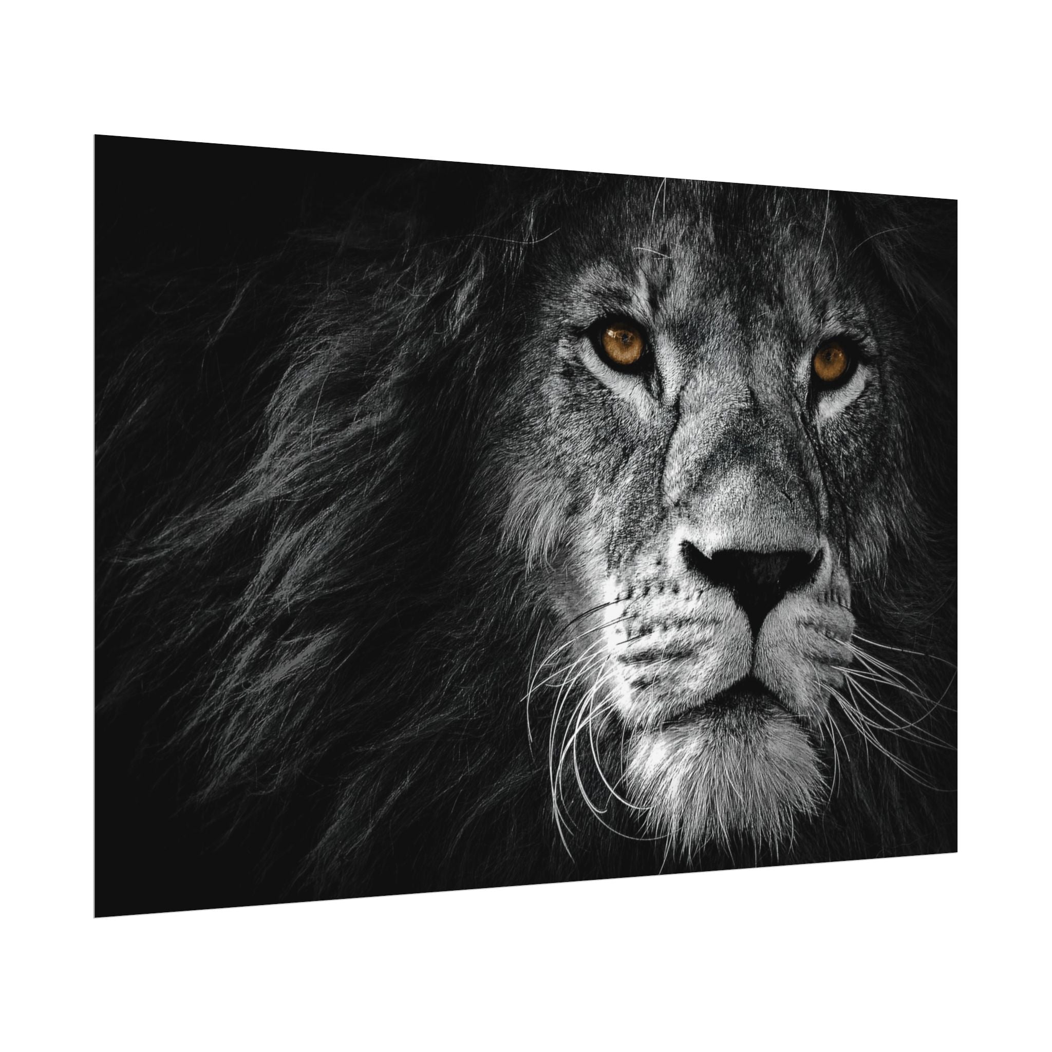 poster-print-lion-wall-art-black-and-white-monochrome-decor-living-room-decor-lion-poster-jungle-animal-art-print-wildlife-sa