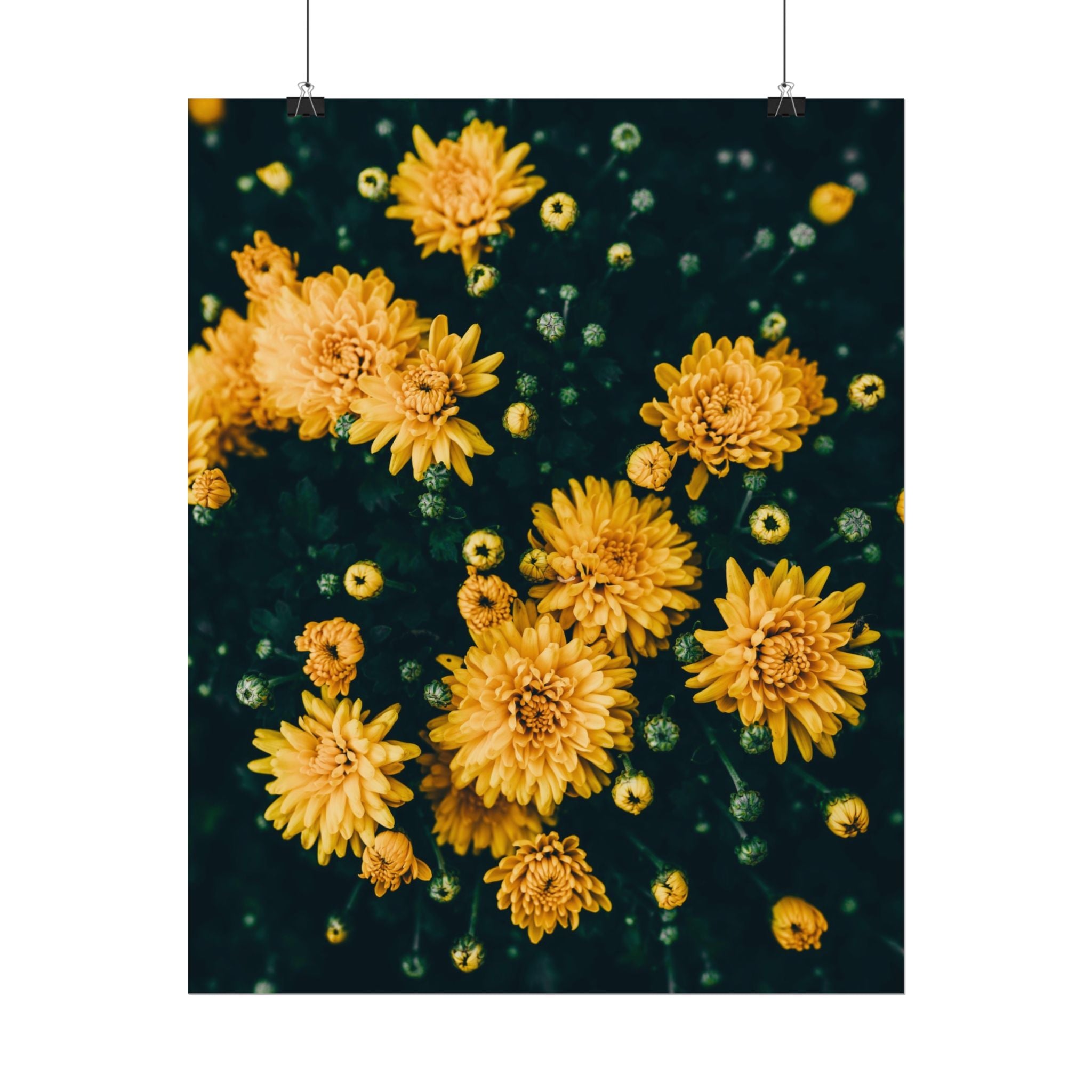yellow-flower-art-poster-print-floral-wall-decor-floral-home-decor-gift-dark-botanical-art-print