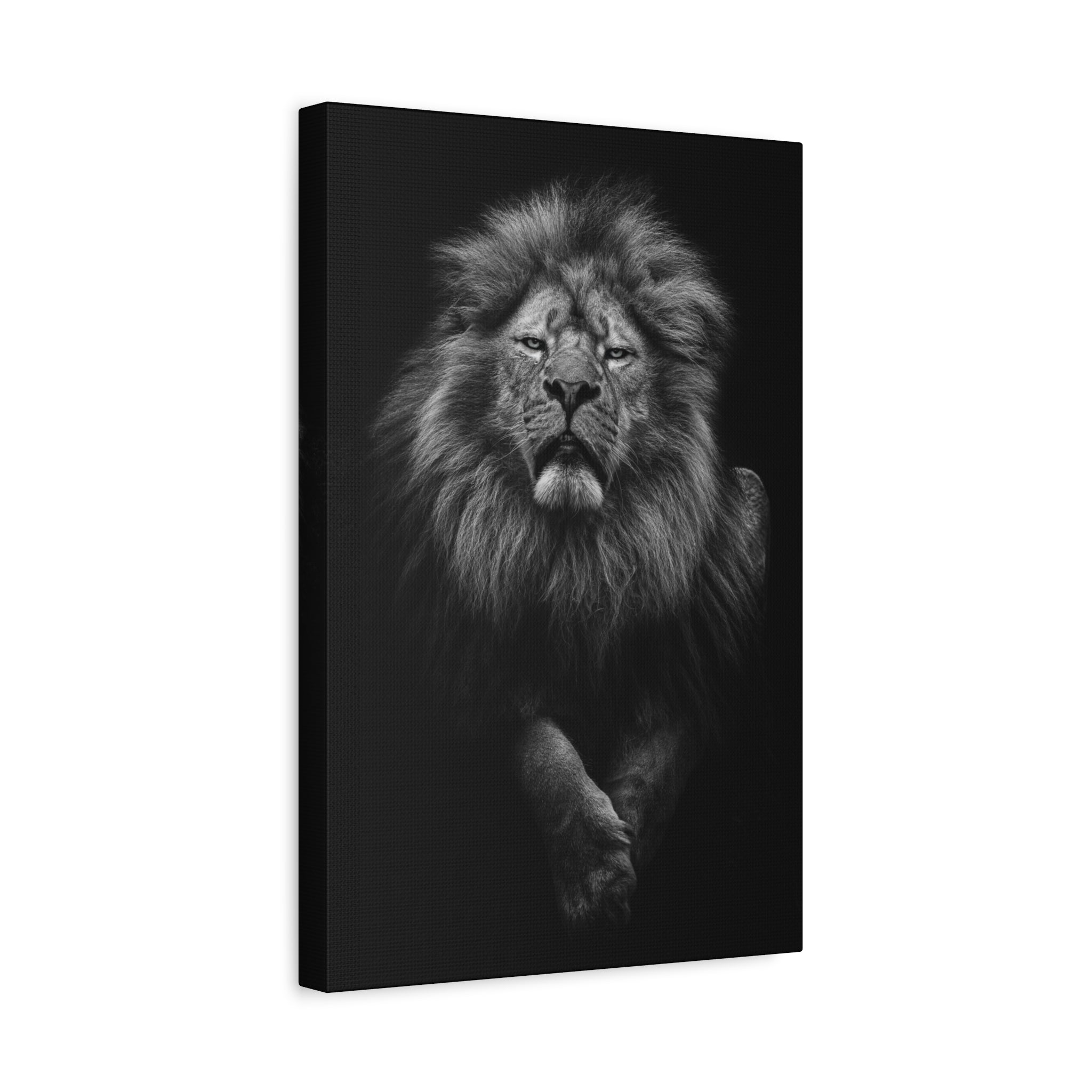 canvas-print-lion-wall-art-black-and-white-living-room-decor-matte-stretched-lion-poster-jungle-animal-art-print-wildlife-saf