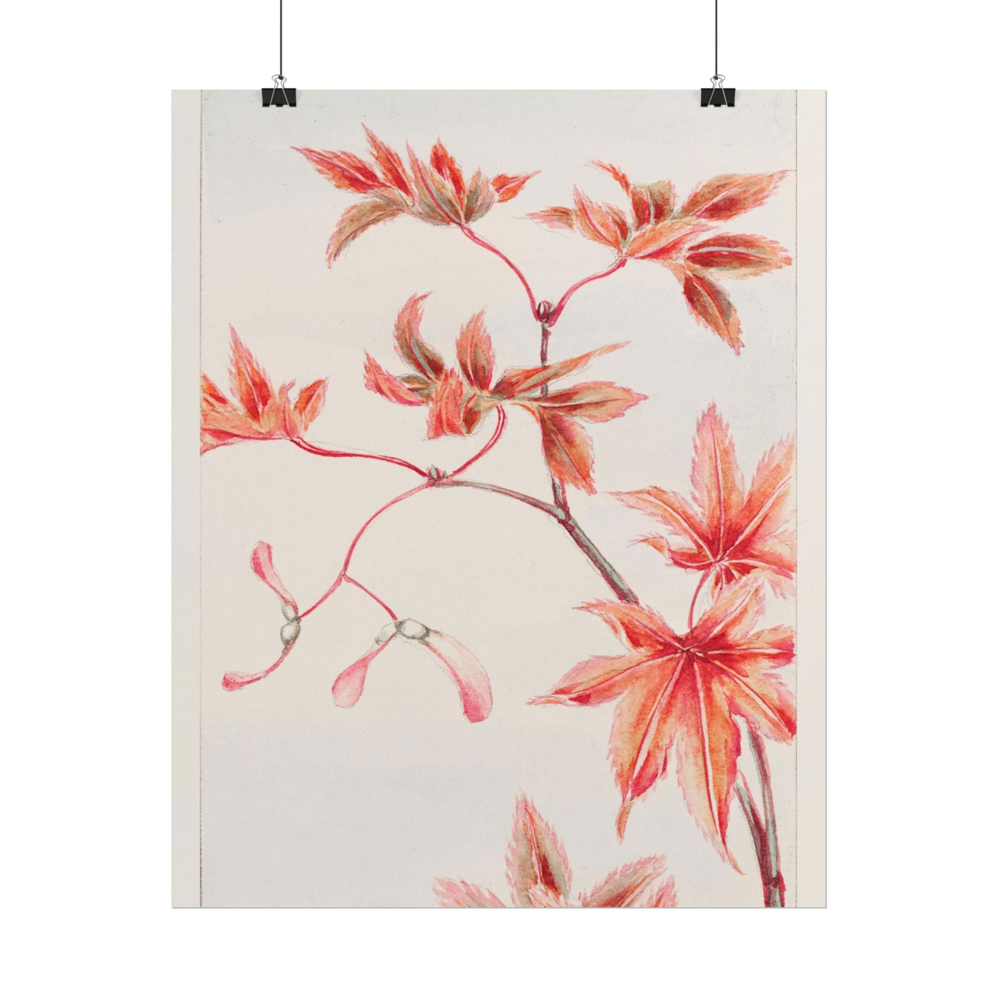 poster-print-branch-of-momiji-maple-tree-with-leaves-floral-wall-art-rolled-posters-wall-decor-room-decoration-nature-art-bot
