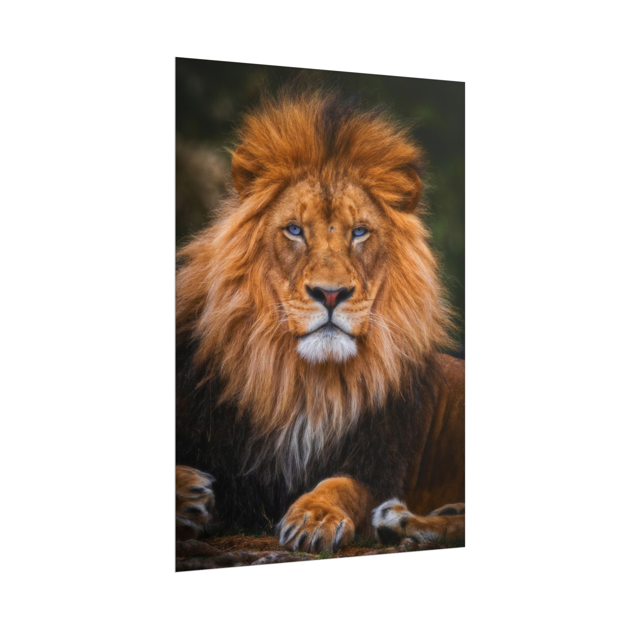 blue-eyed-lion-poster-wall-art-wildlife-home-decor-animal-lover-gift-safari-decoration-wildlife-art-print-lion-wall-decor