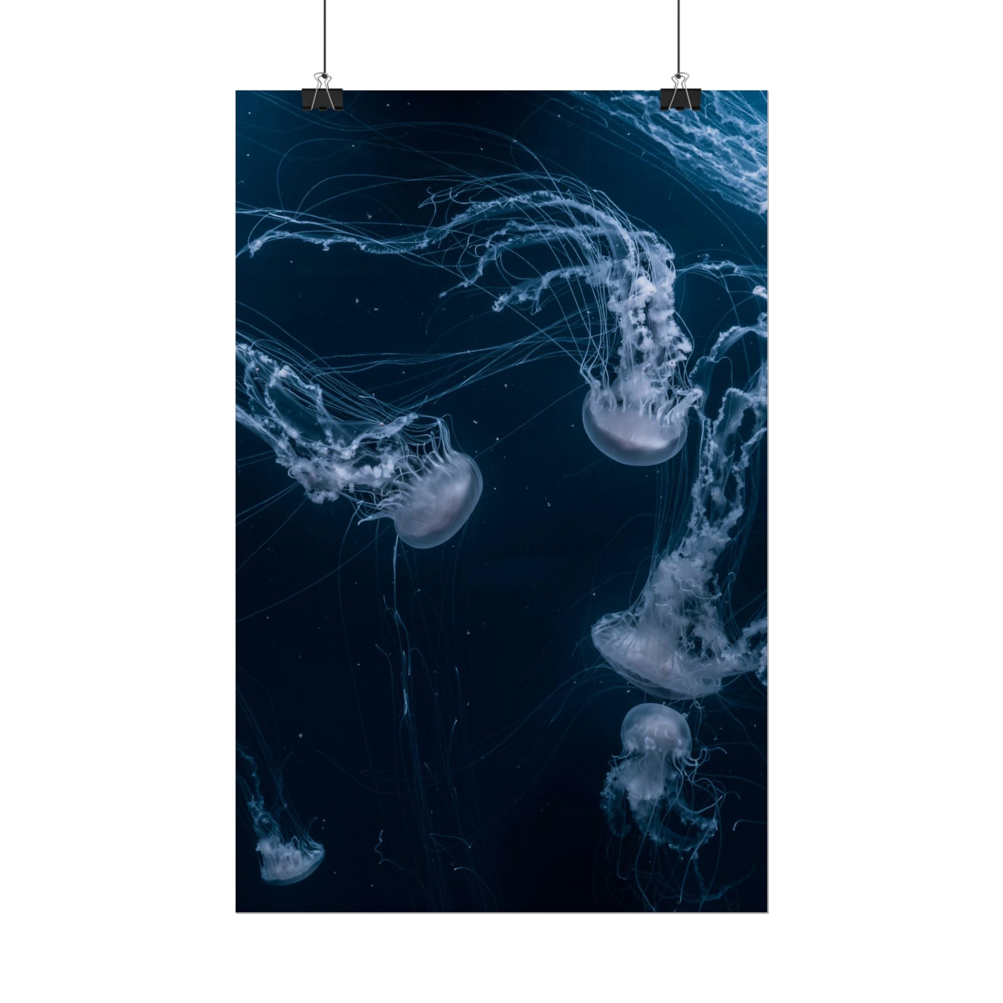long-jellyfish-wall-art-poster-print-wall-hanging-ocean-life-deep-ocean-decor-home-decor-housewarming-gift