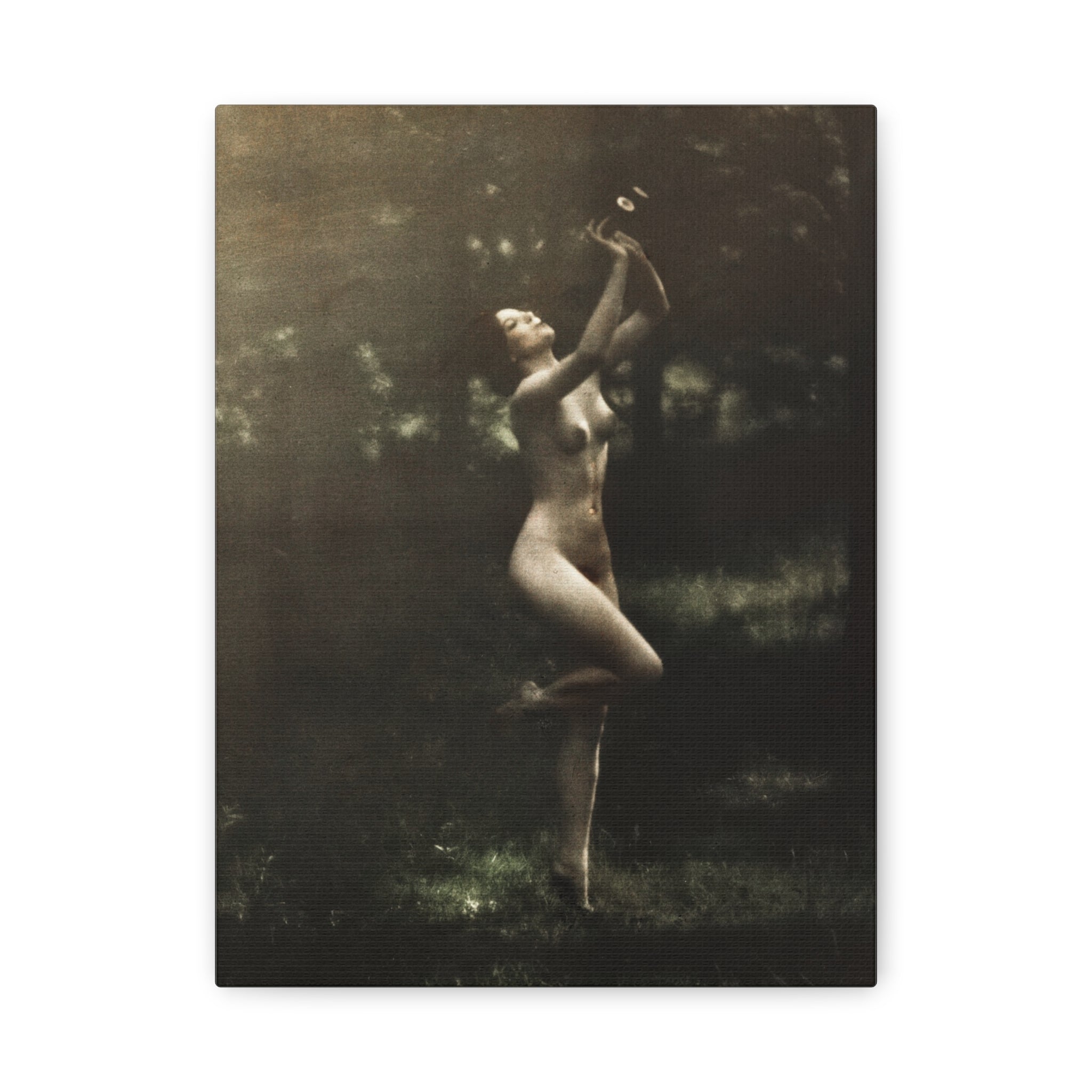canvas-print-nude-dancer-by-arnold-genthe-nude-photography-nude-art-wall-decor-stretched-canvas-art-print-nature-photography
