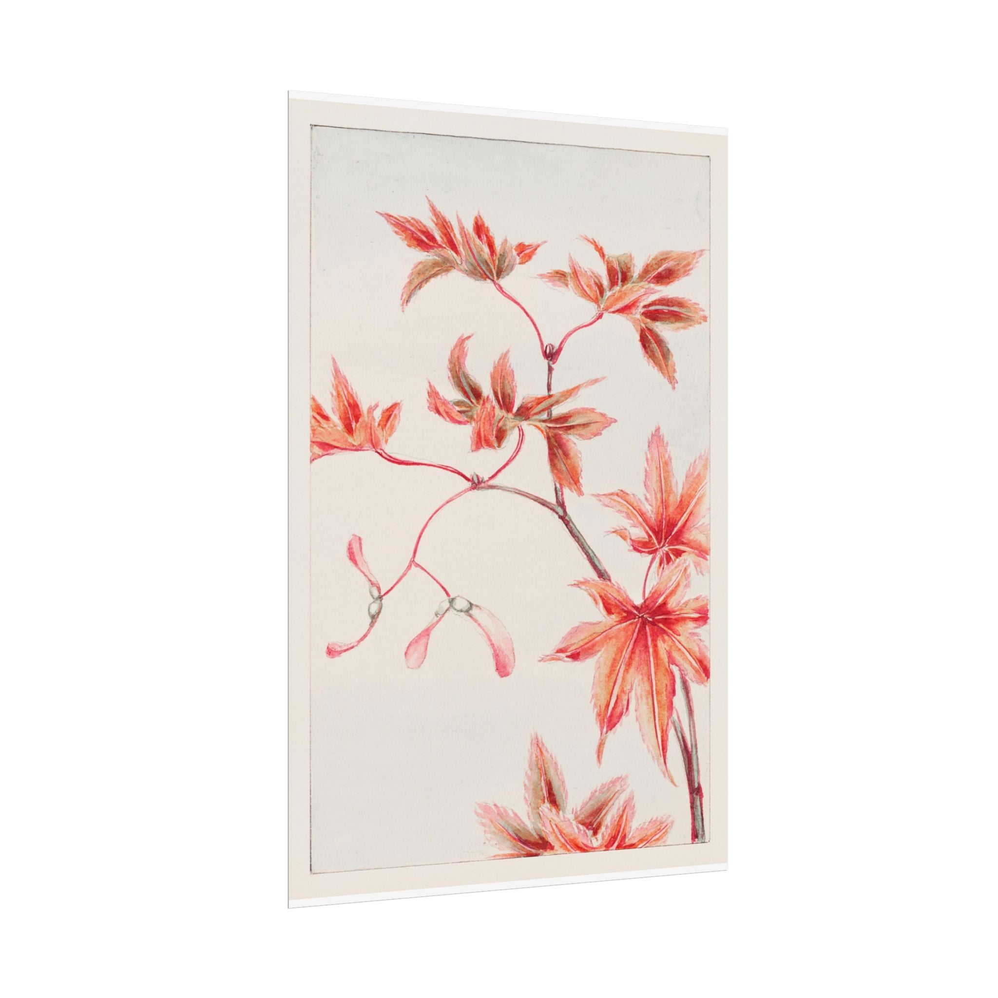 poster-print-branch-of-momiji-maple-tree-with-leaves-floral-wall-art-rolled-posters-wall-decor-room-decoration-nature-art-bot