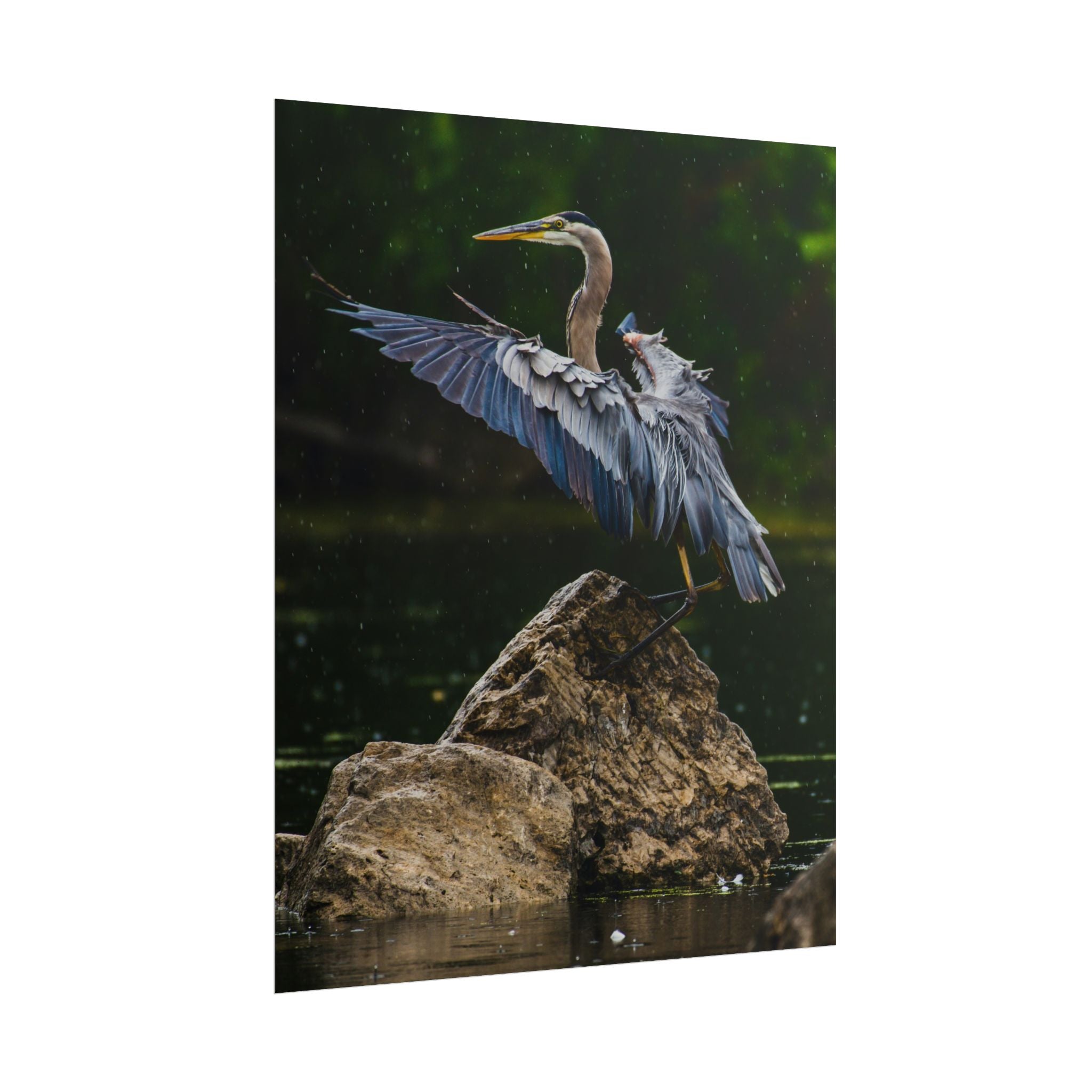 great-blue-heron-poster-wall-art-home-decor-bird-lover-gift-nature-wall-hanging-wildlife-poster