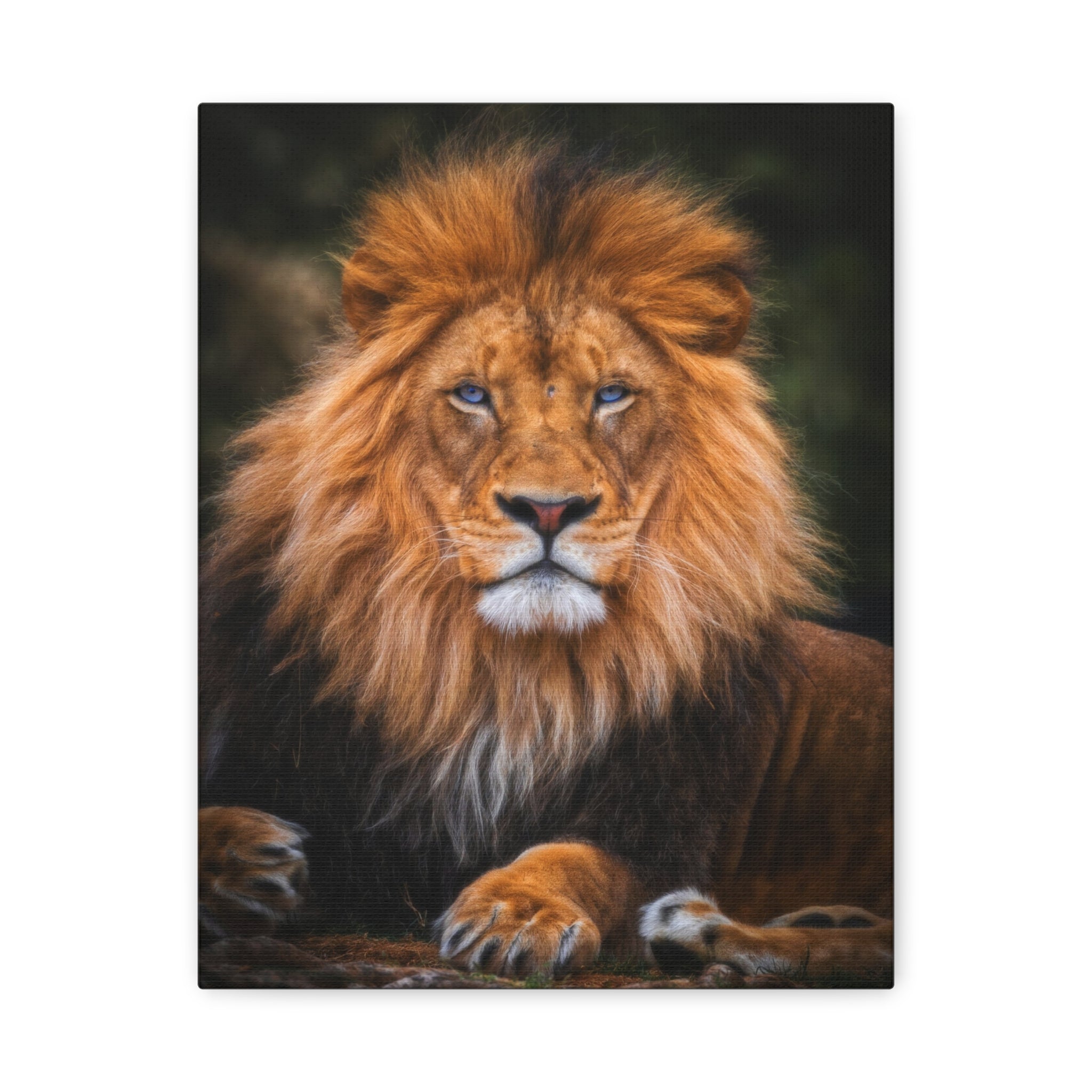 canvas-print-blue-eyed-lion-wall-art-wildlife-home-decor-animal-lover-gift-safari-nursery-decoration-wildlife-art-print-lion-