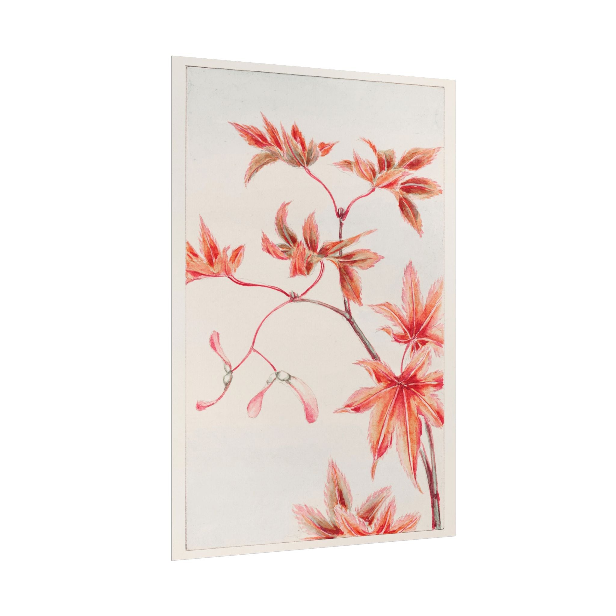 poster-print-branch-of-momiji-maple-tree-with-leaves-floral-wall-art-rolled-posters-wall-decor-room-decoration-nature-art-bot