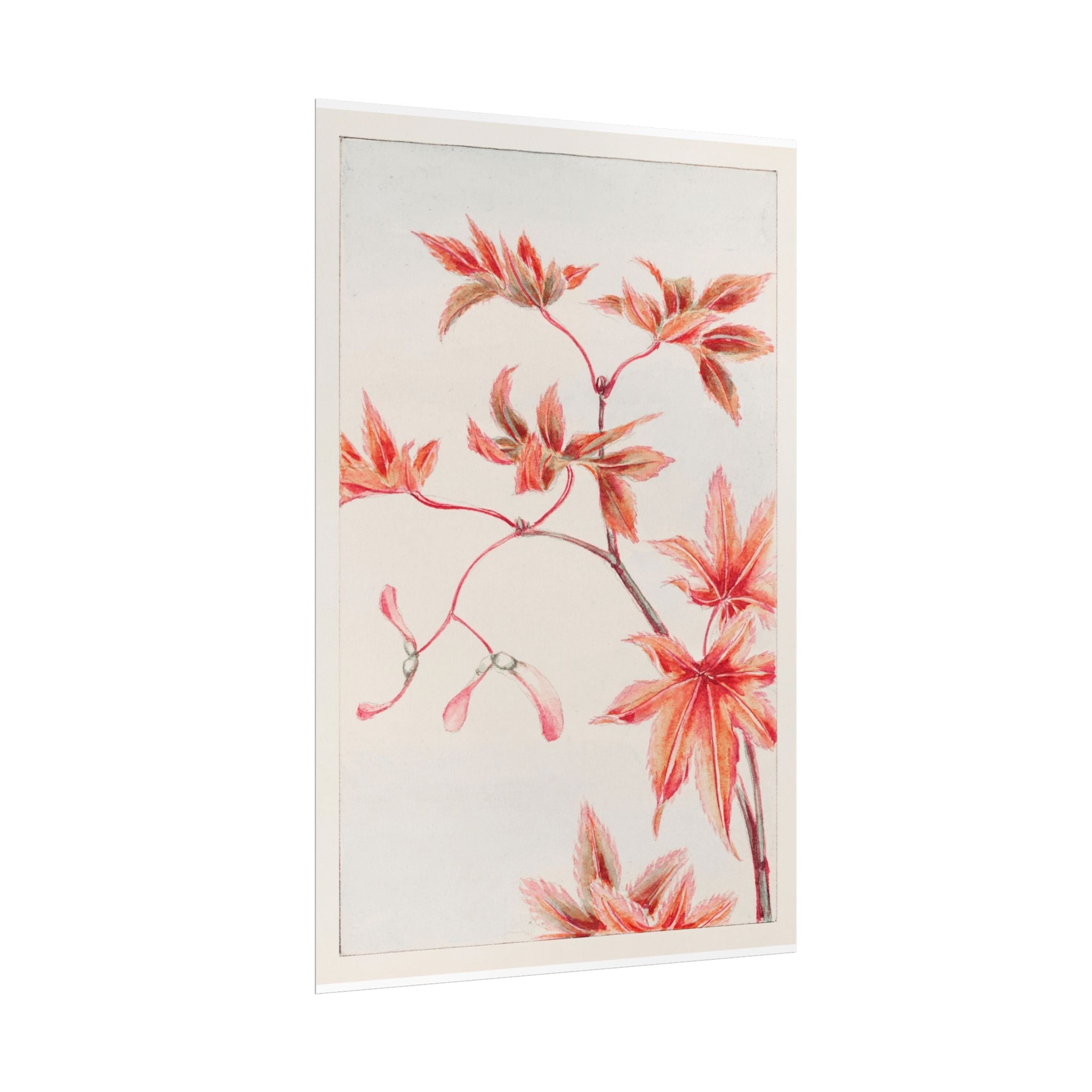 poster-print-branch-of-momiji-maple-tree-with-leaves-floral-wall-art-rolled-posters-wall-decor-room-decoration-nature-art-bot