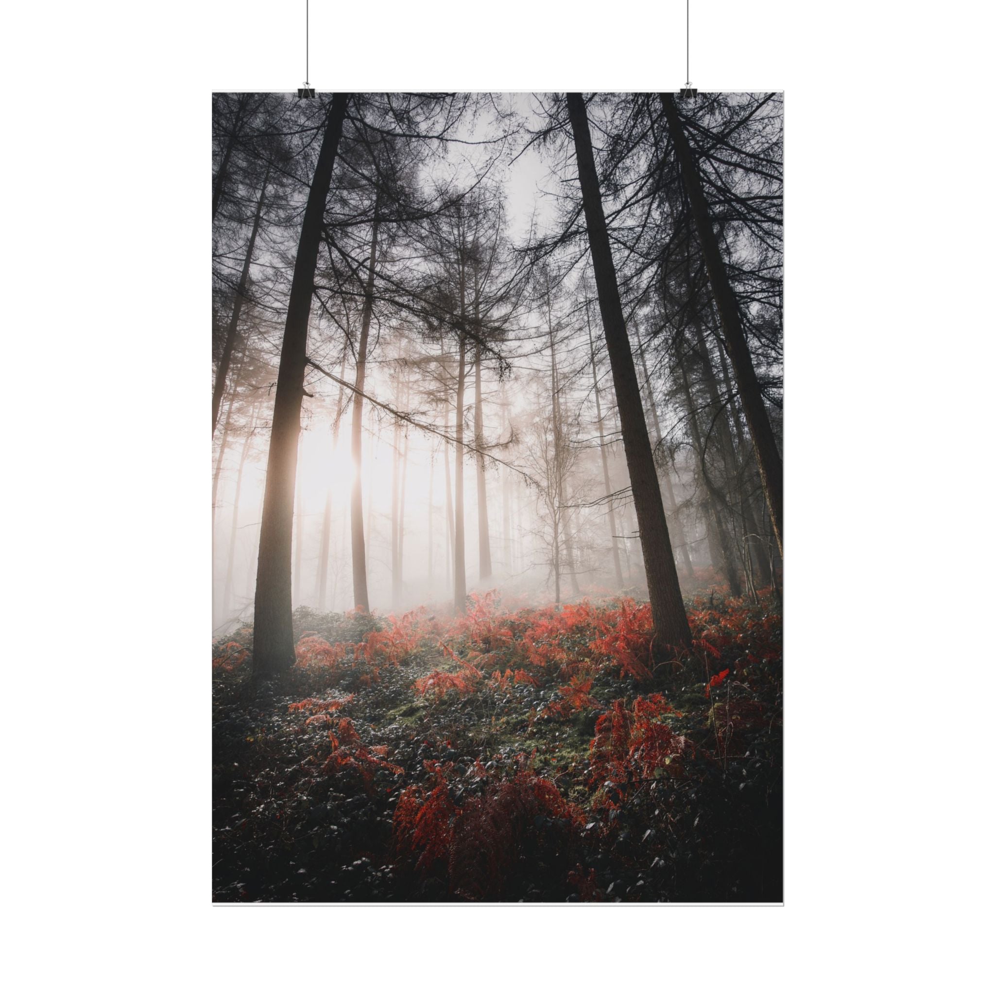poster-print-misty-woods-art-living-room-wall-decor-sunlight-forest-landscape-aesthetic-nature-art-nature-artwork-poster-gift