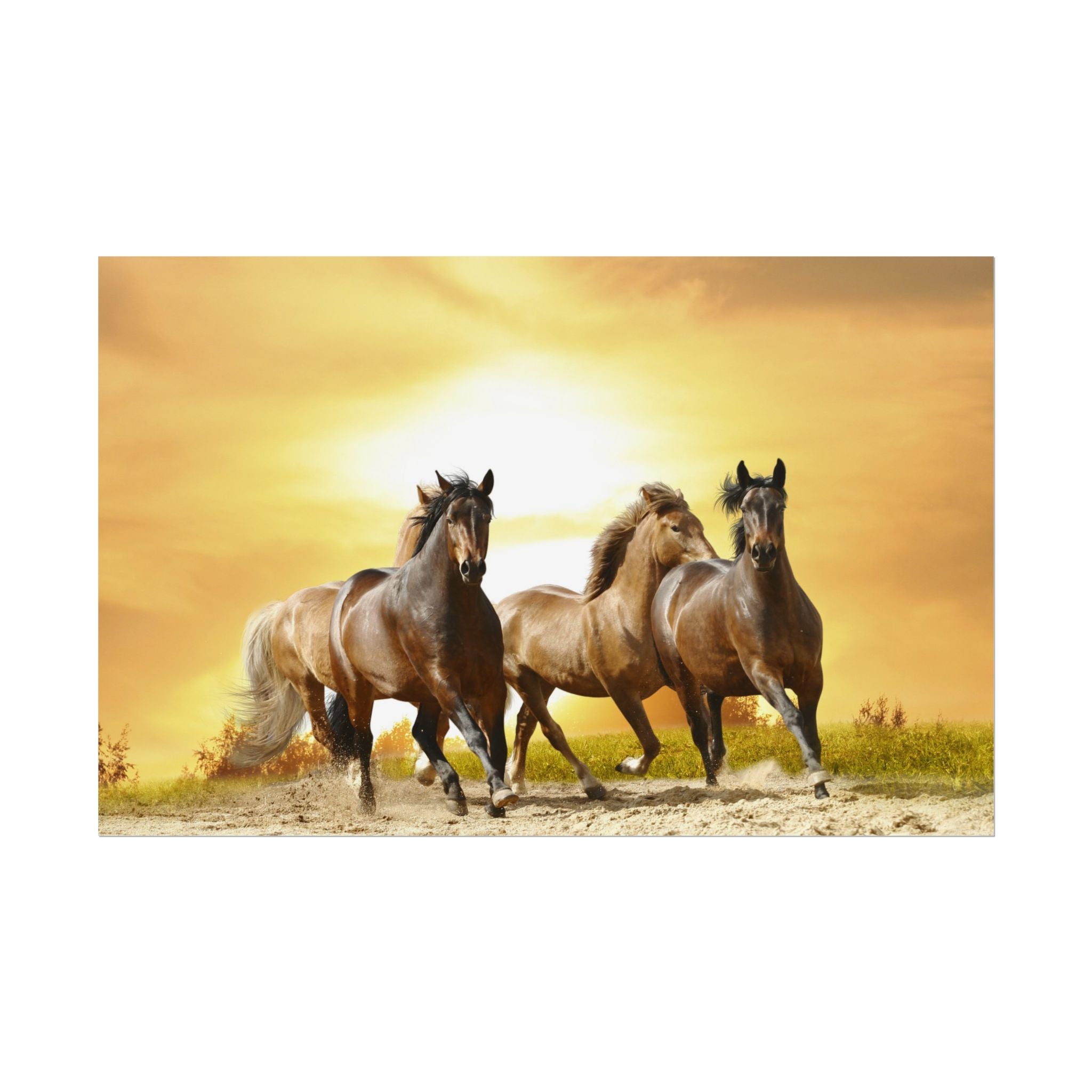 running-horse-poster-wall-art-farmhouse-wall-decor-home-decor-housewarming-gift-horse-print-wall-print-wild-animals