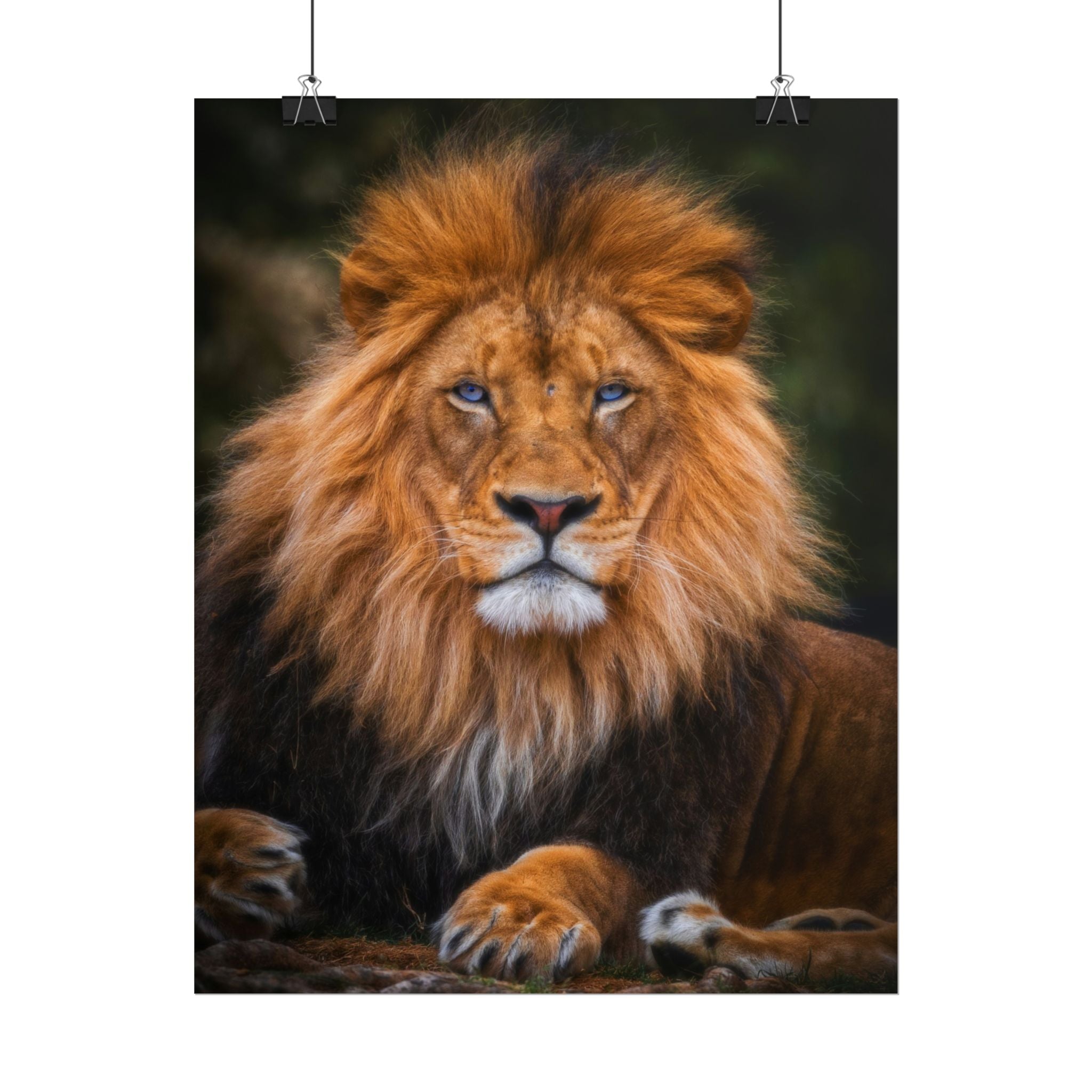 blue-eyed-lion-poster-wall-art-wildlife-home-decor-animal-lover-gift-safari-decoration-wildlife-art-print-lion-wall-decor