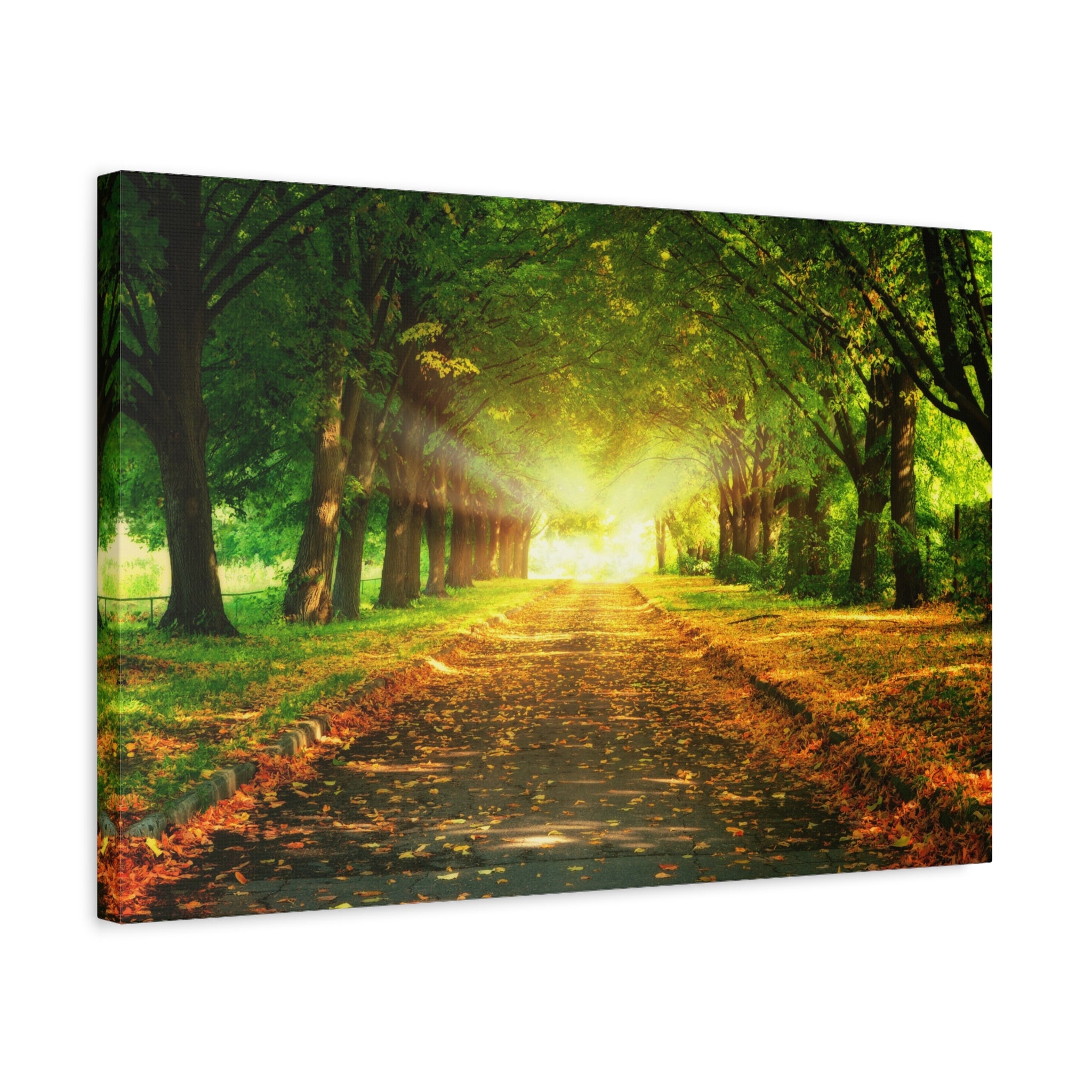 canvas-print-sunset-landscape-wall-art-nature-decor-fall-trees-living-room-decor-road-leaves-autumn-decor-fall-canvas