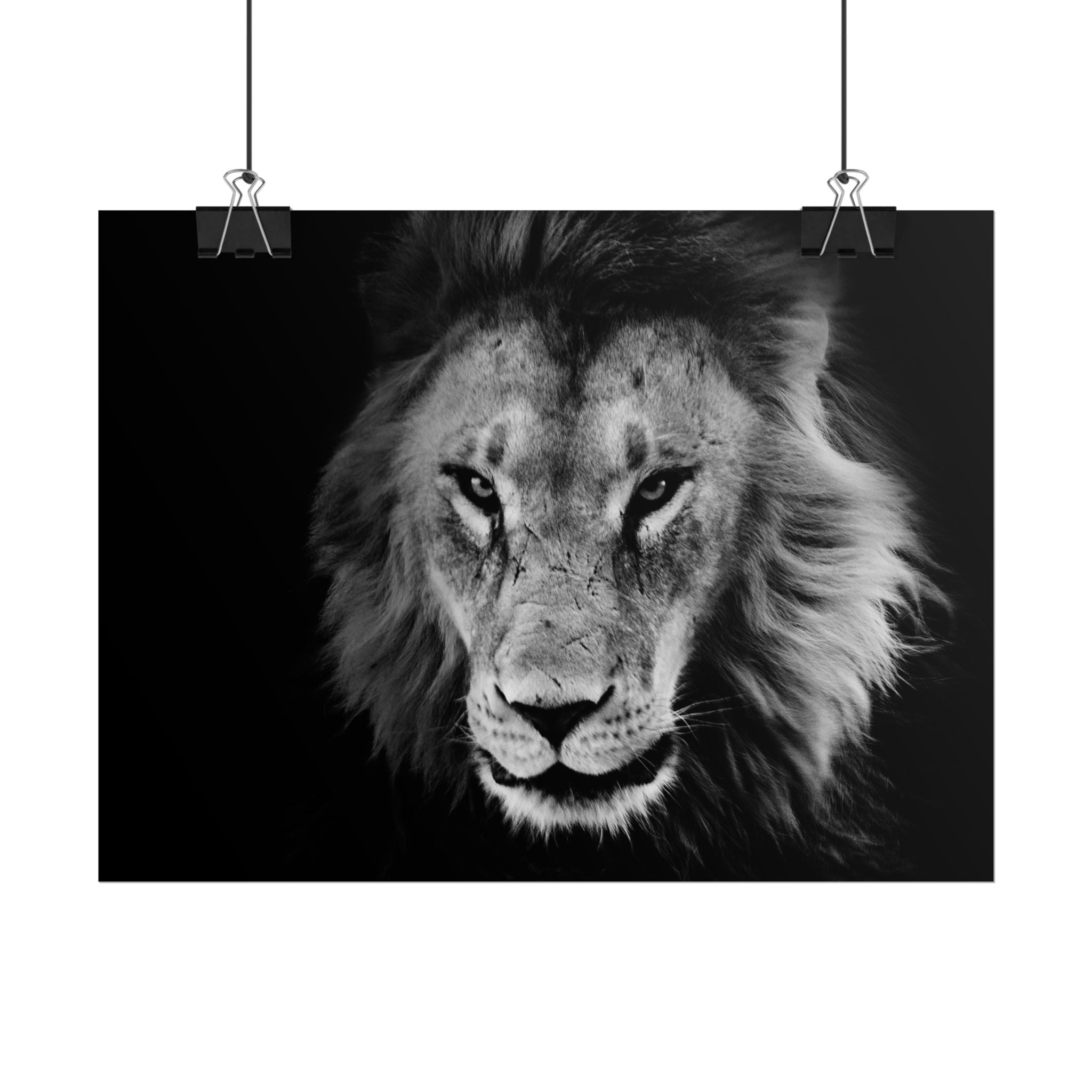 poster-print-lion-wall-art-black-and-white-living-room-decor-monochrome-art-lion-poster-jungle-animal-art-print-wildlife-safa